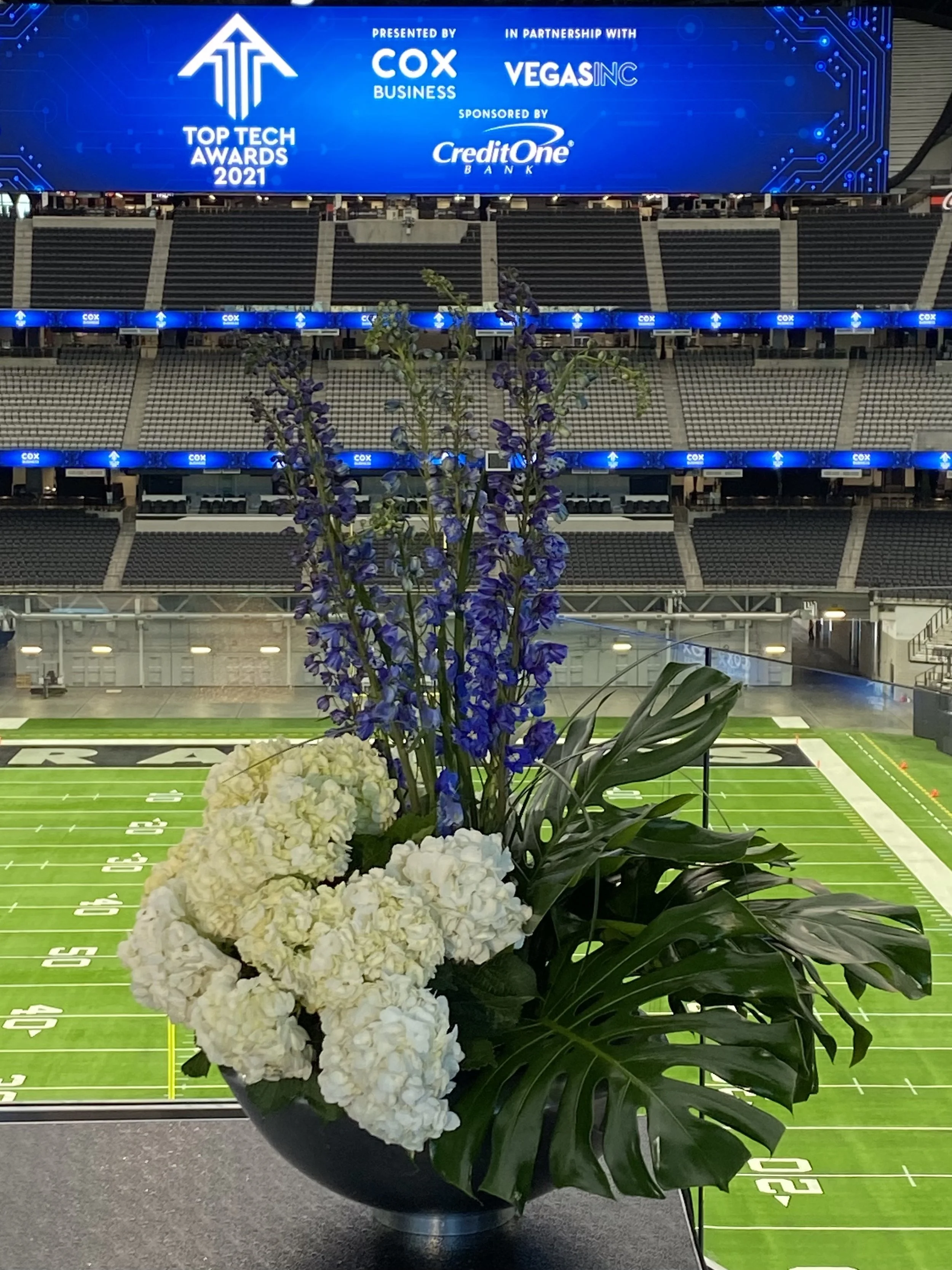 IMG_5214-preview 2.jpeg