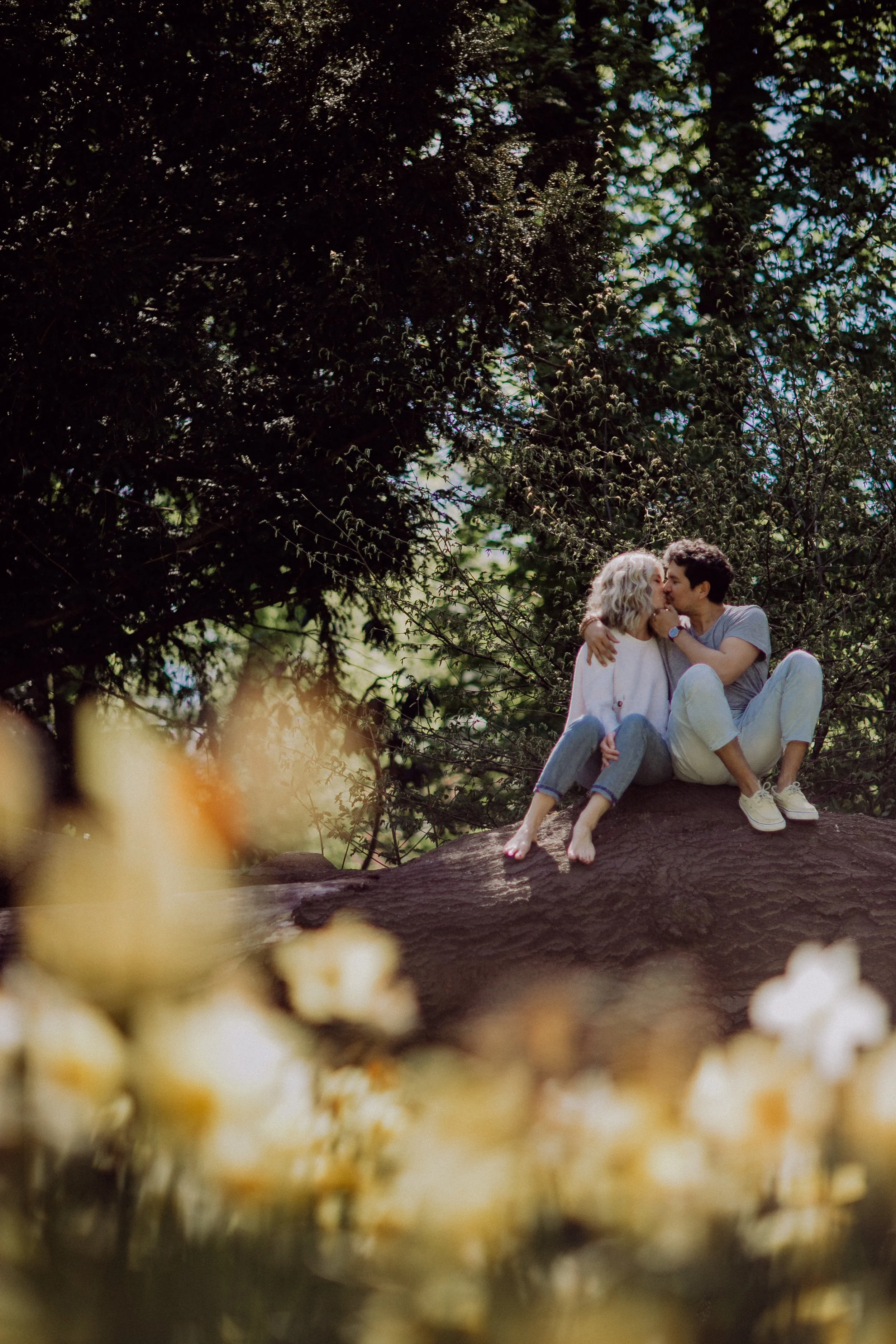 Zwei Menschen sitzen auf einem Baum, küssen sich und umarmen sich in einer natürlichen, grünen Umgebung.