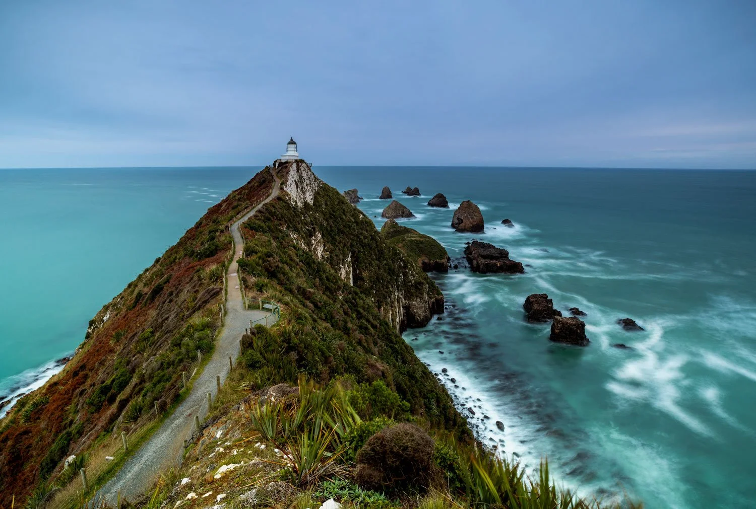 Nugget-point.jpg