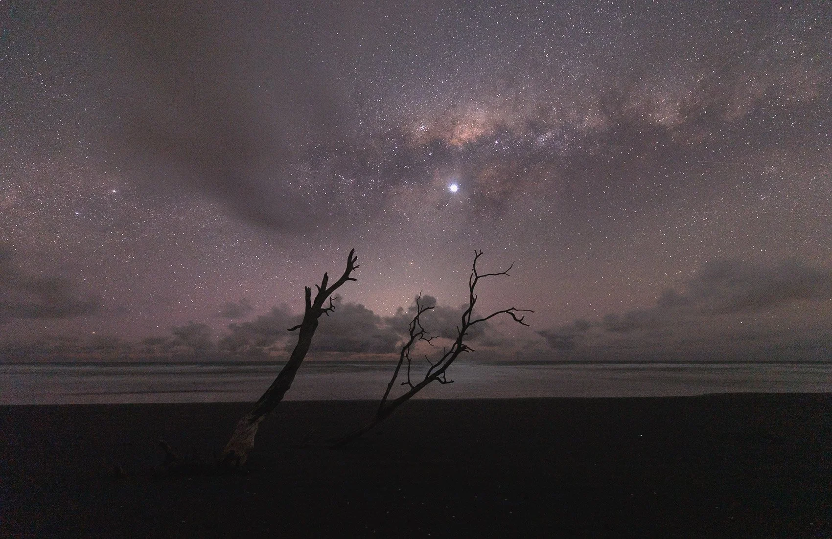 Still Standing Under the Stars