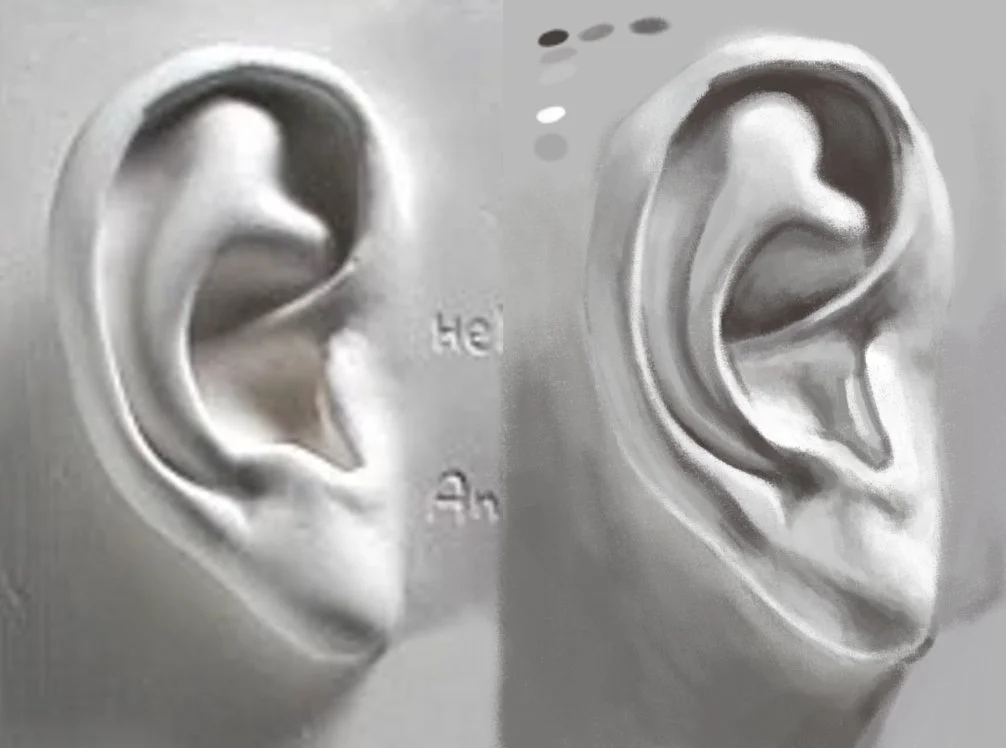 Ear Study, October 2023.
This is an ear study I did entirely without color picking, and only looking at the relative values and grayscale. 