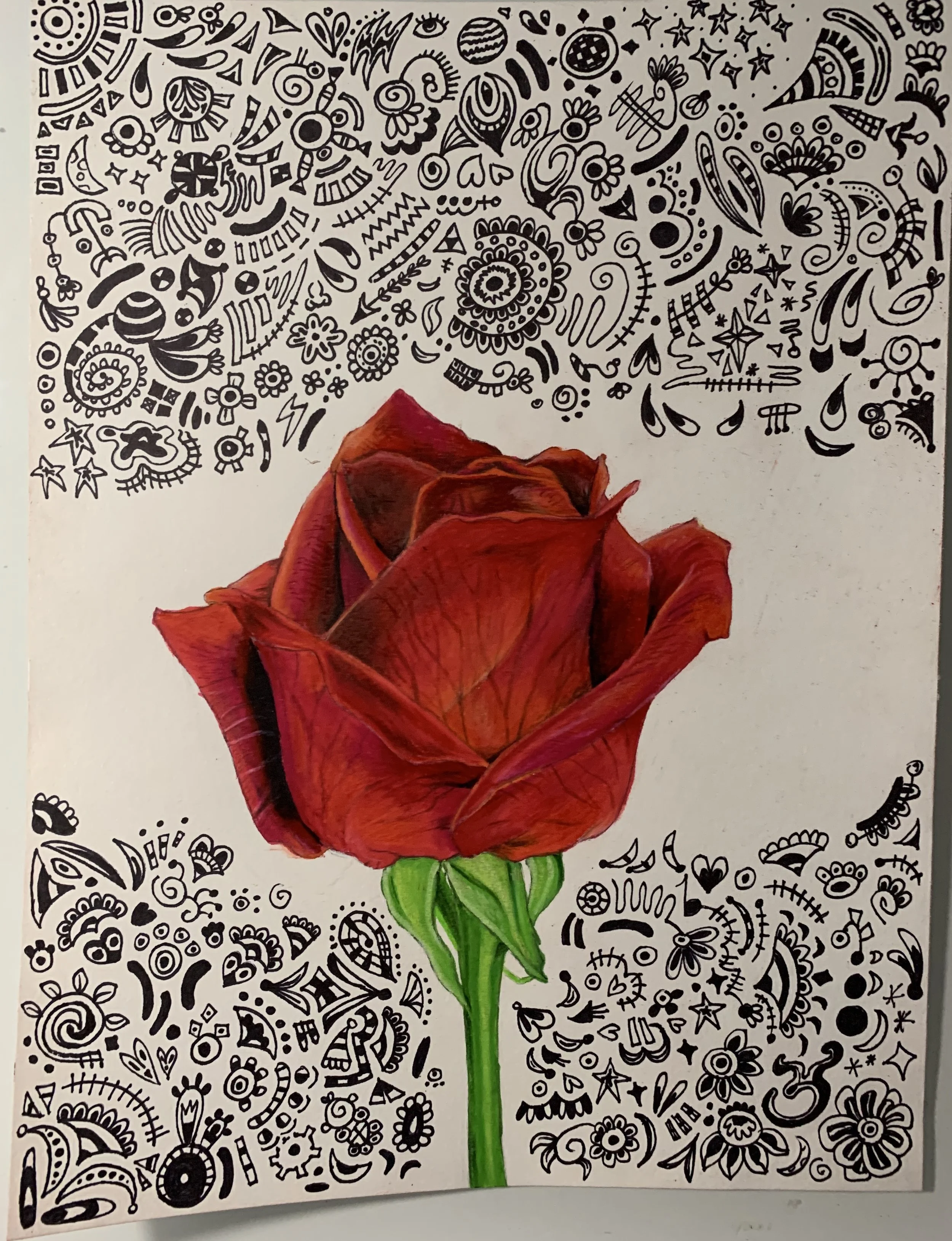 Rose and Doodles, December 2022
This was made for my aunt, who lives in India. The doodles were made on a whim, as a means to make the piece more interesting. I tried to incorporate different tones rather than just reds within the rose, such as purpl