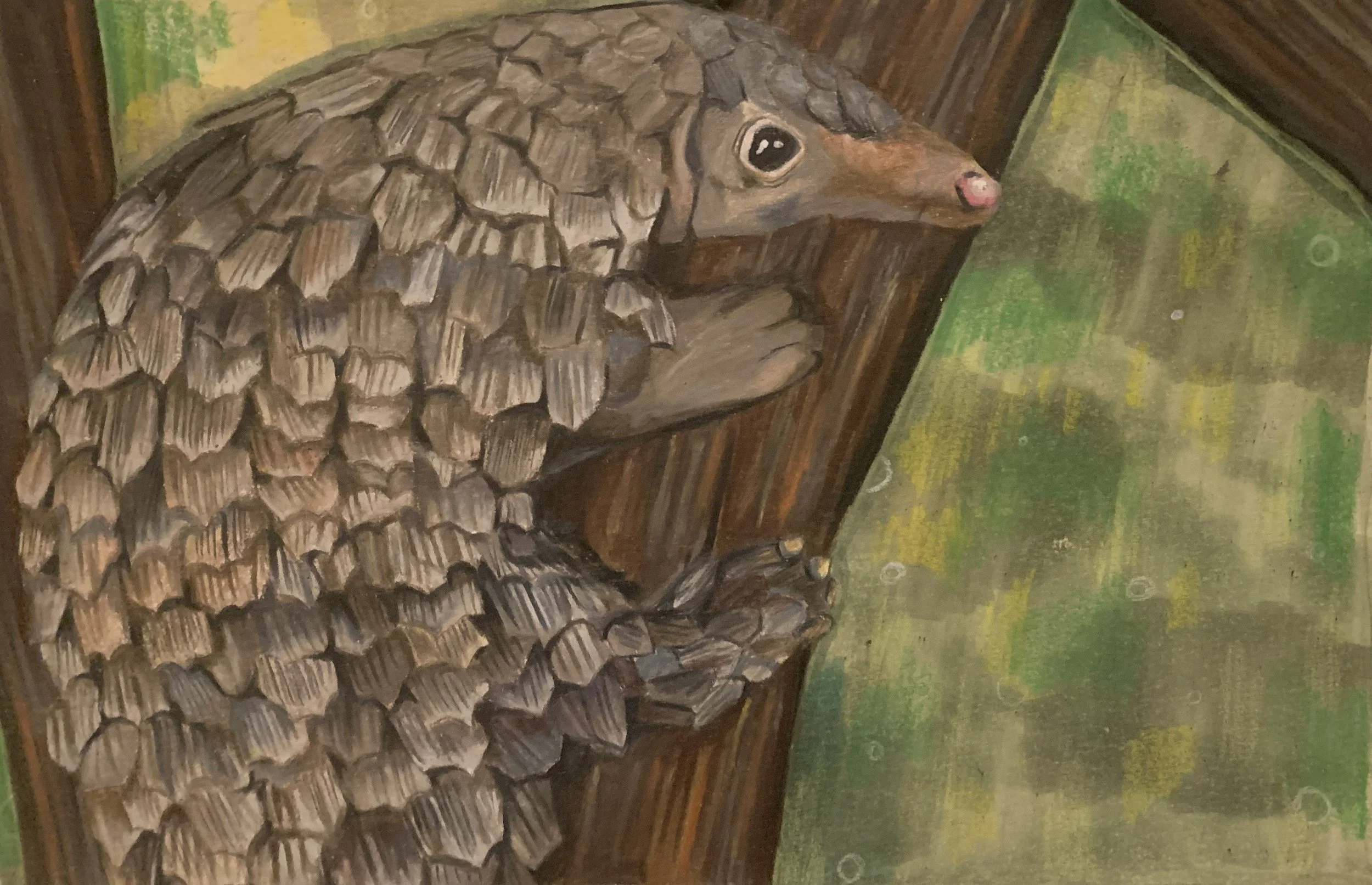 Pangolin on Branch, May 2023
This is another gift –– for my art teacher. His favorite animal is a pangolin. I made sure to place depth in each of the pangolin's scales, and use all different hues of brown, gray, and peach.