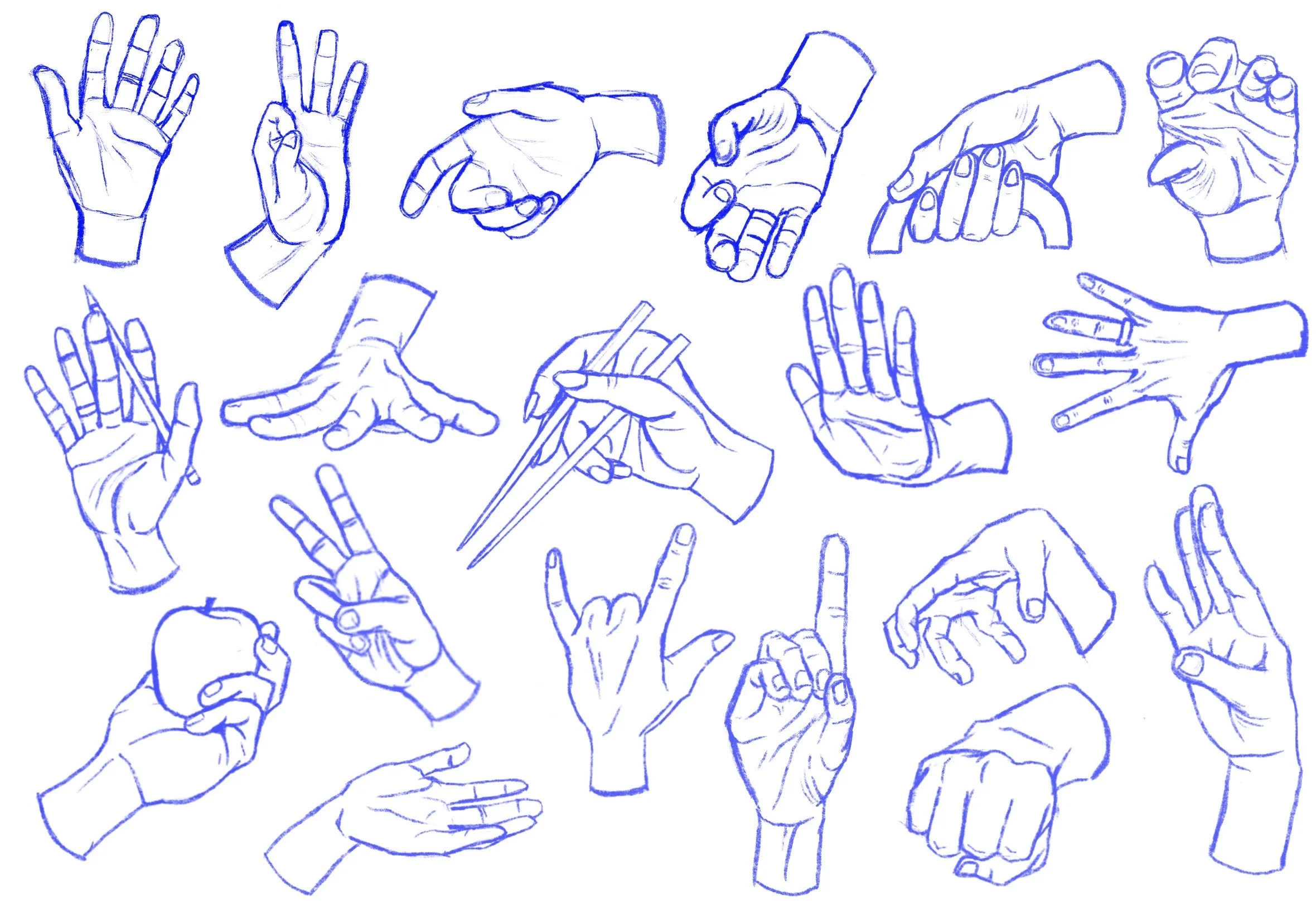 Hand Study Sketch