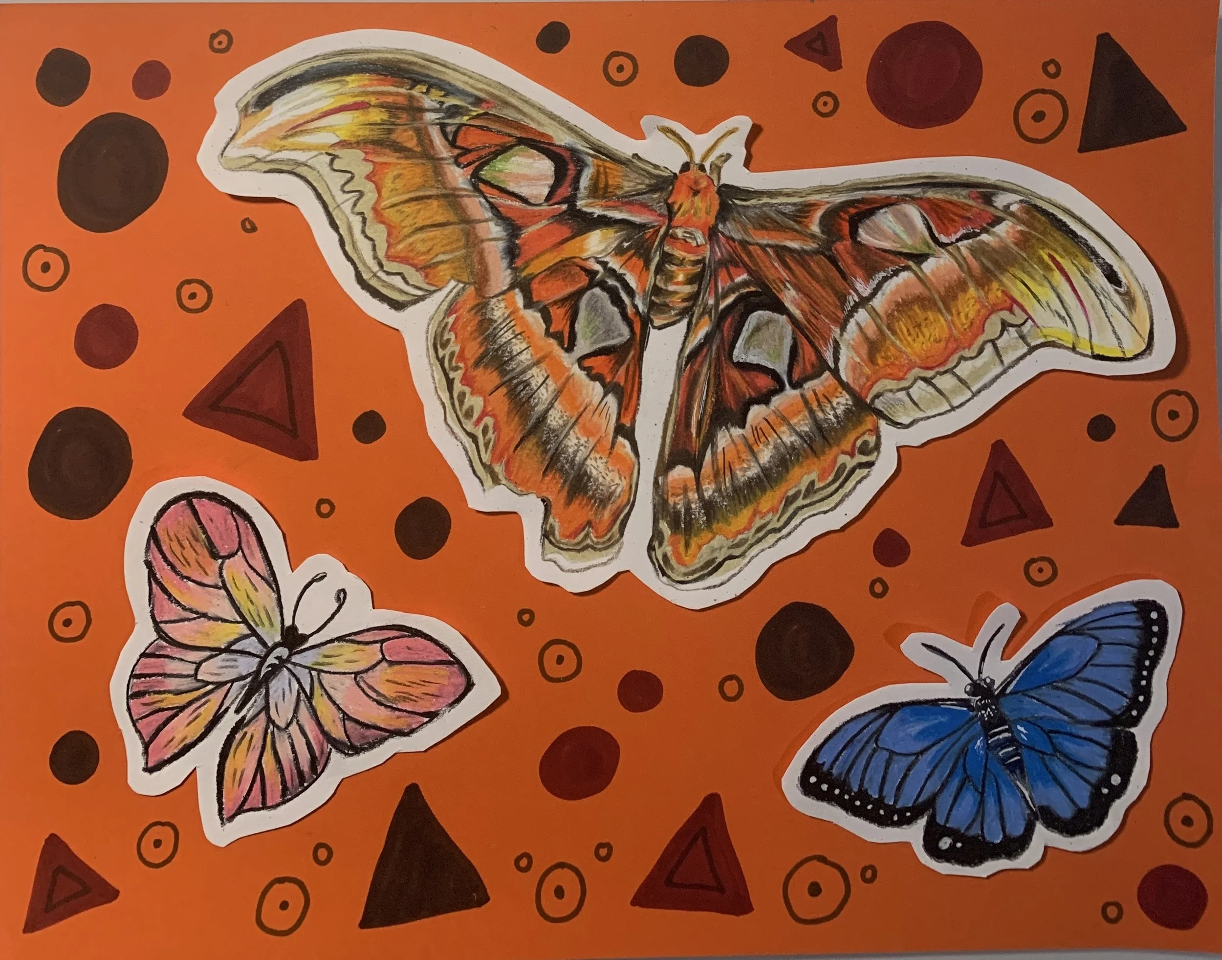 Atlas Moth and Friends
This is a piece I did for my sister. She is obsessed with Atlas Moths, which is the biggest piece on the page. I surrounded the moth with these colorful butterflies, but I decided not to add as much detail on them in order to e