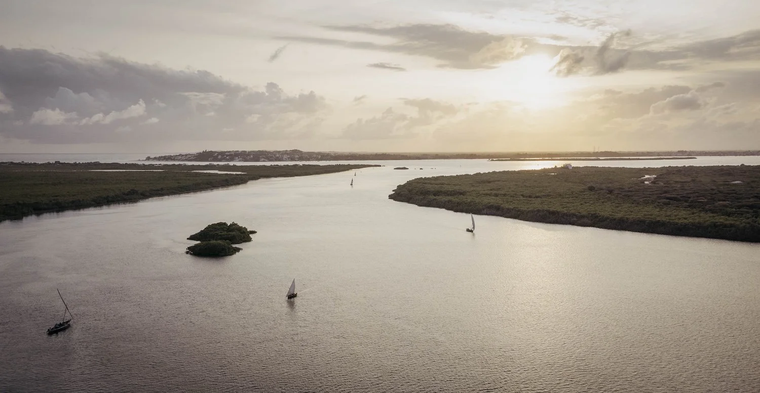 Dhows sailing at sunset in mangrove channels
