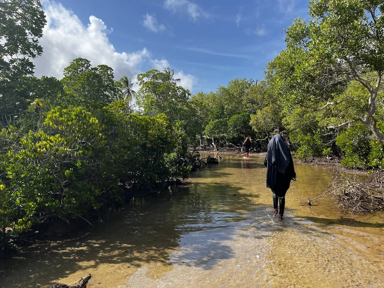 A woman walks through Lamu's Mangroves