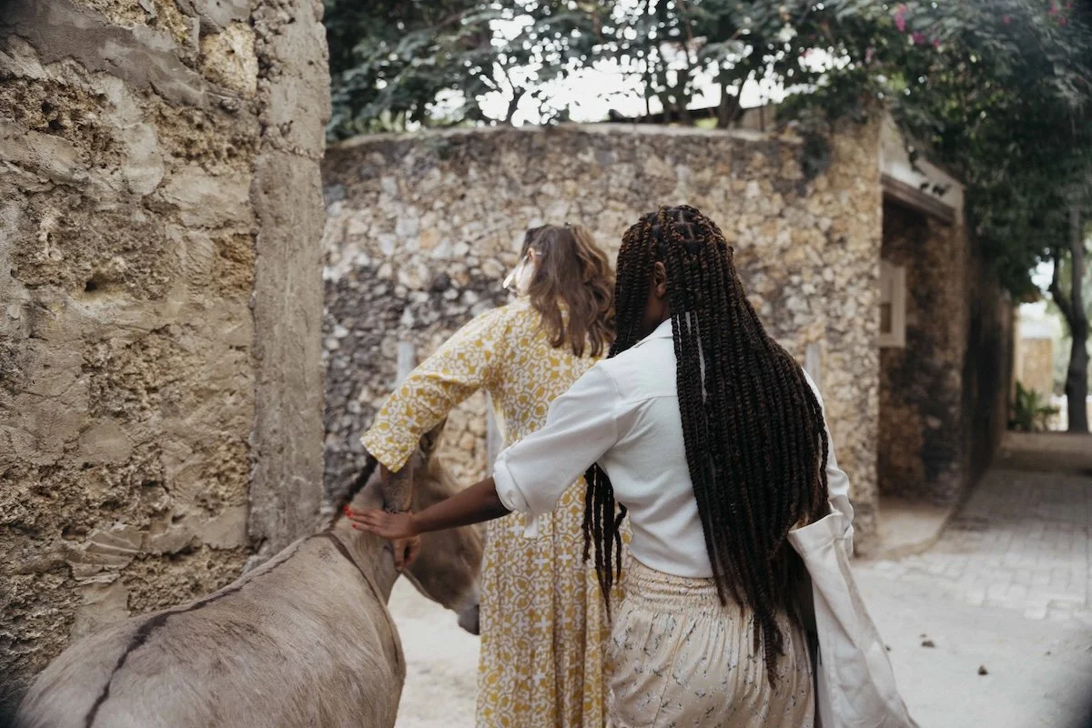Visitors to Lamu petting one of the many donkeys in Shela's streets