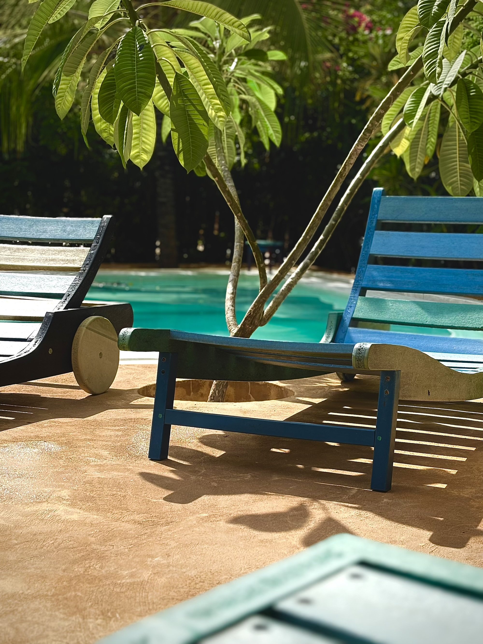 Two brightly colours recycled plastic sunbeds infront of the pool at mbibo house under a frangipani tree