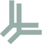 A simple, abstract black and white geometric pattern with lines and right angles