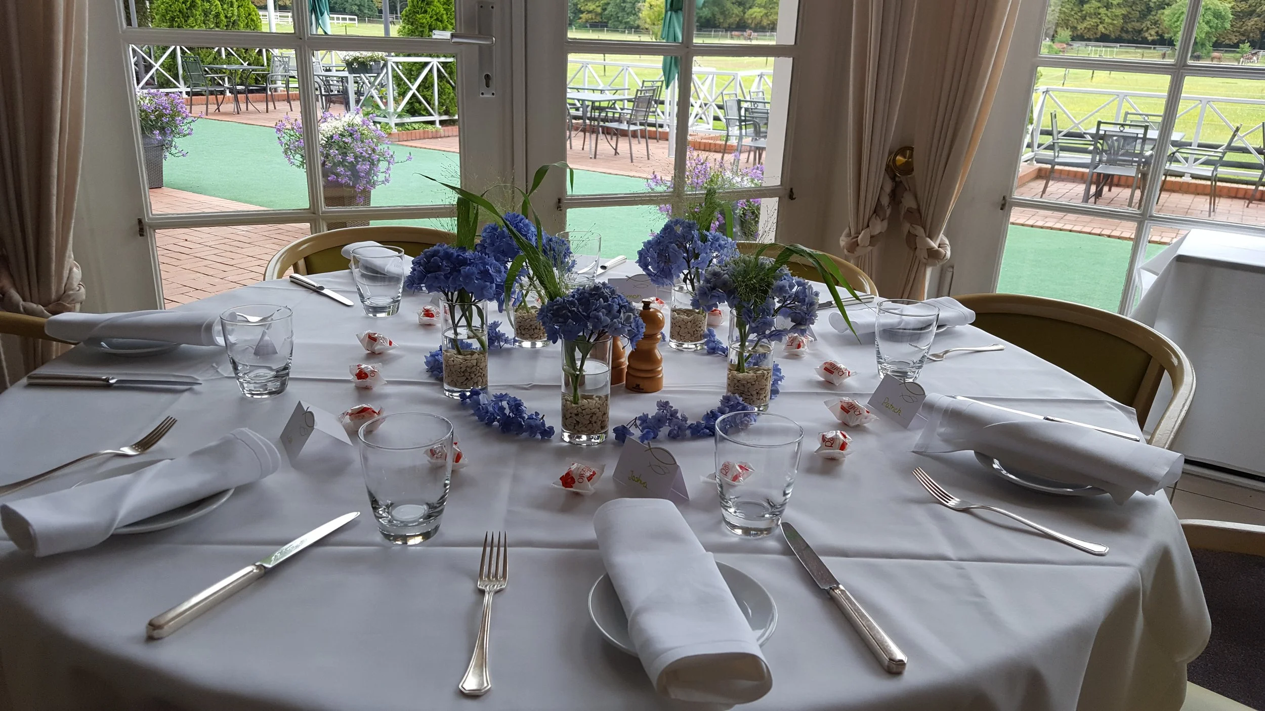 kz hortensie + terr.jpg