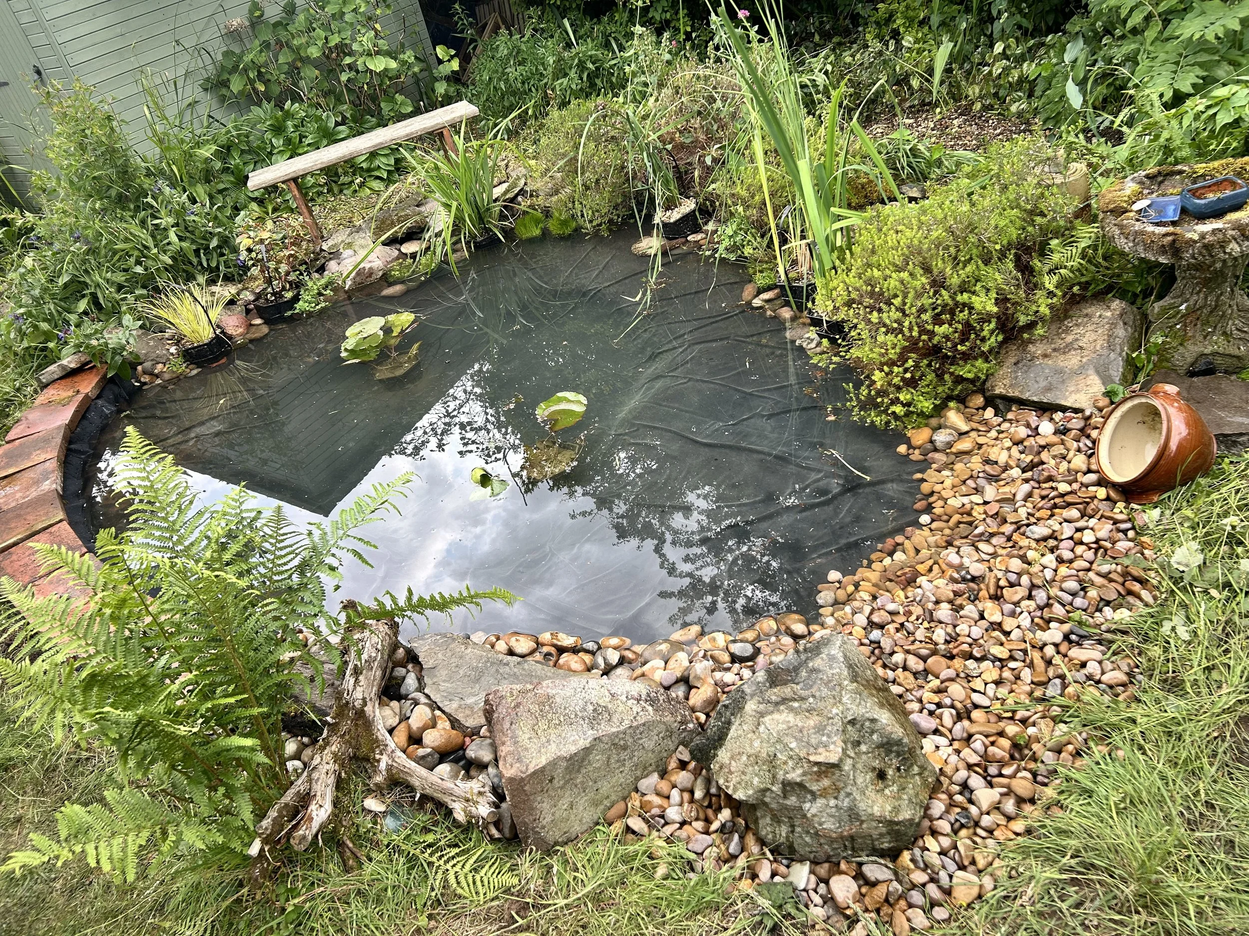 Pond reimagined - new pond liner, planting and beach
