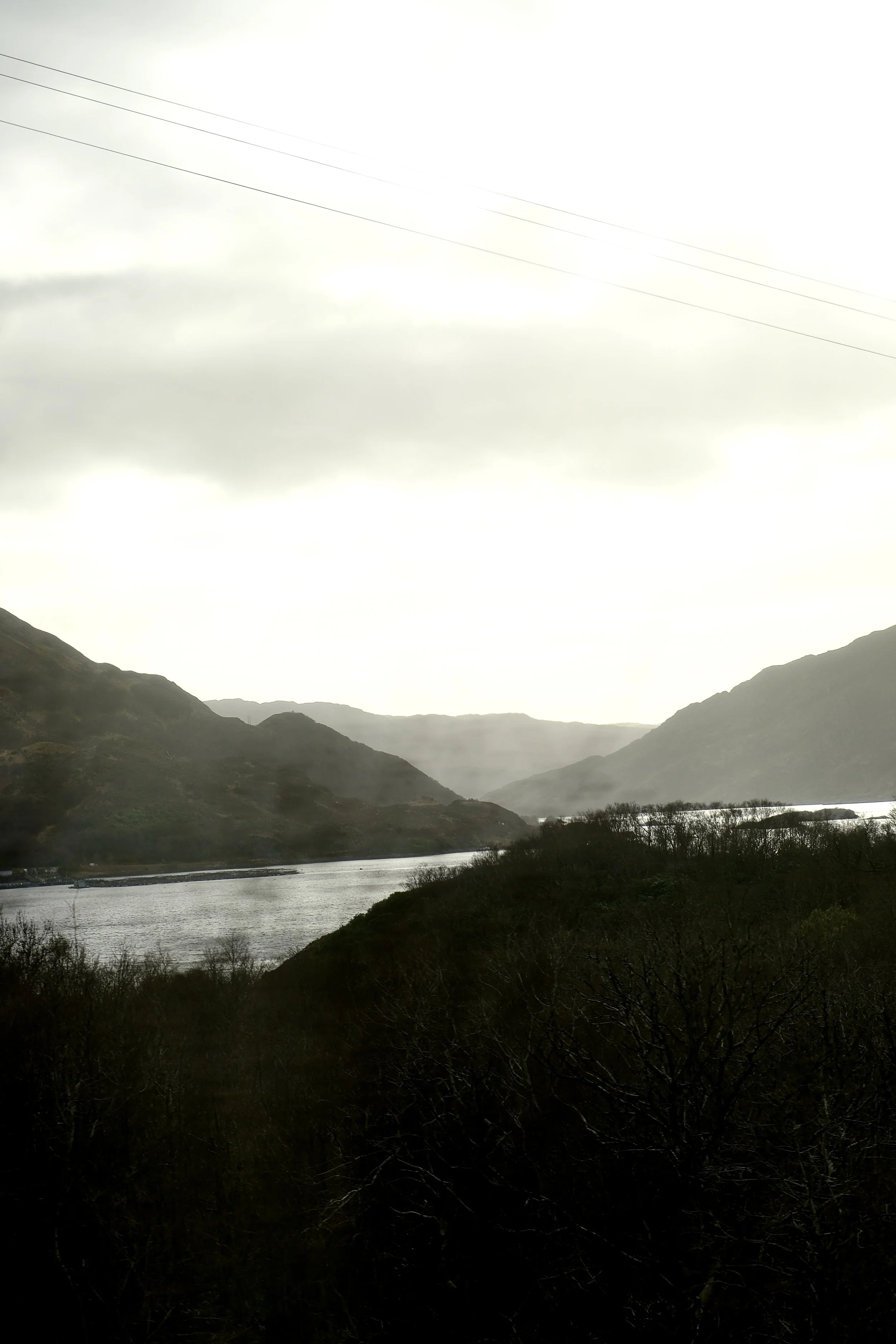 DSCF0636.jpg