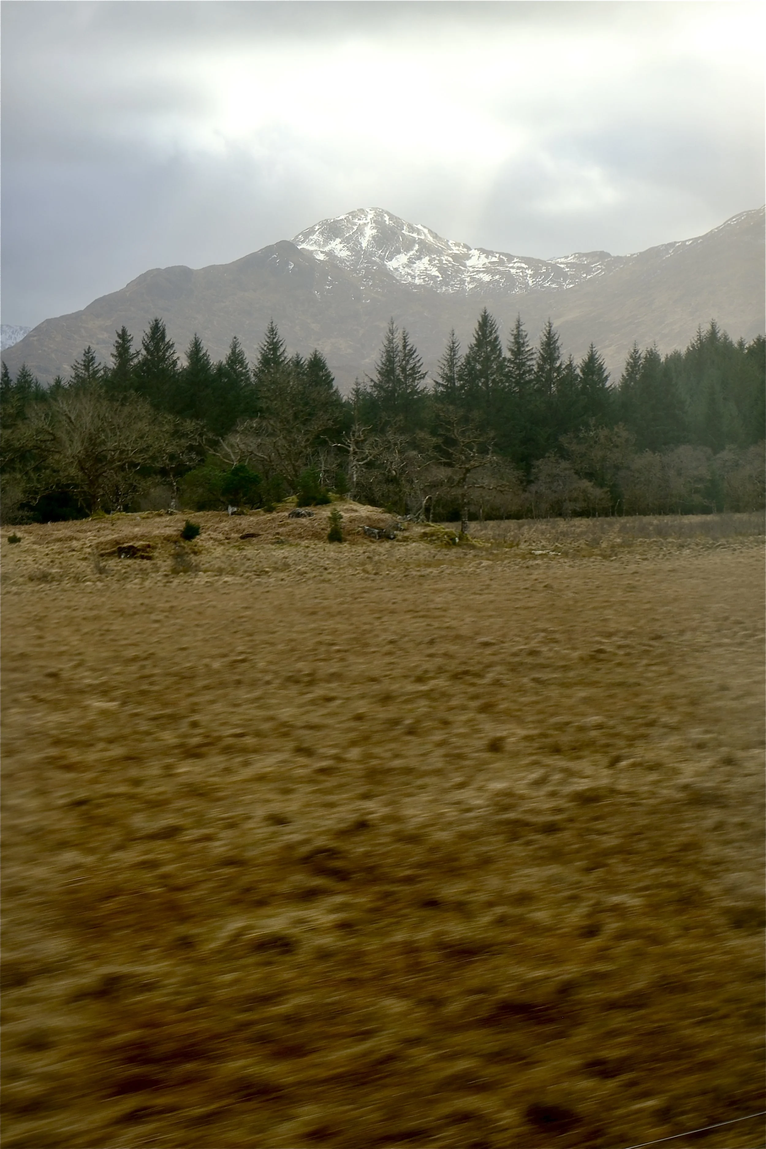 DSCF0652.jpg