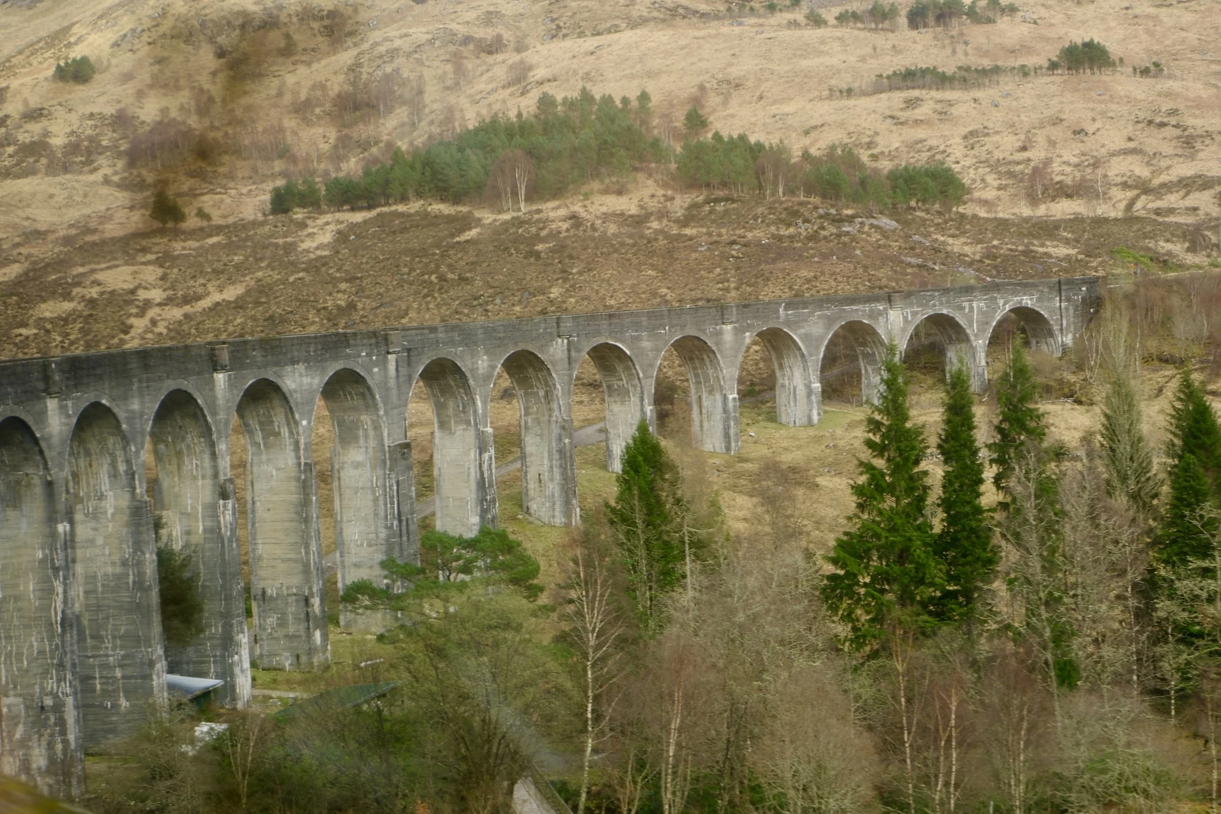 DSCF0646.jpg