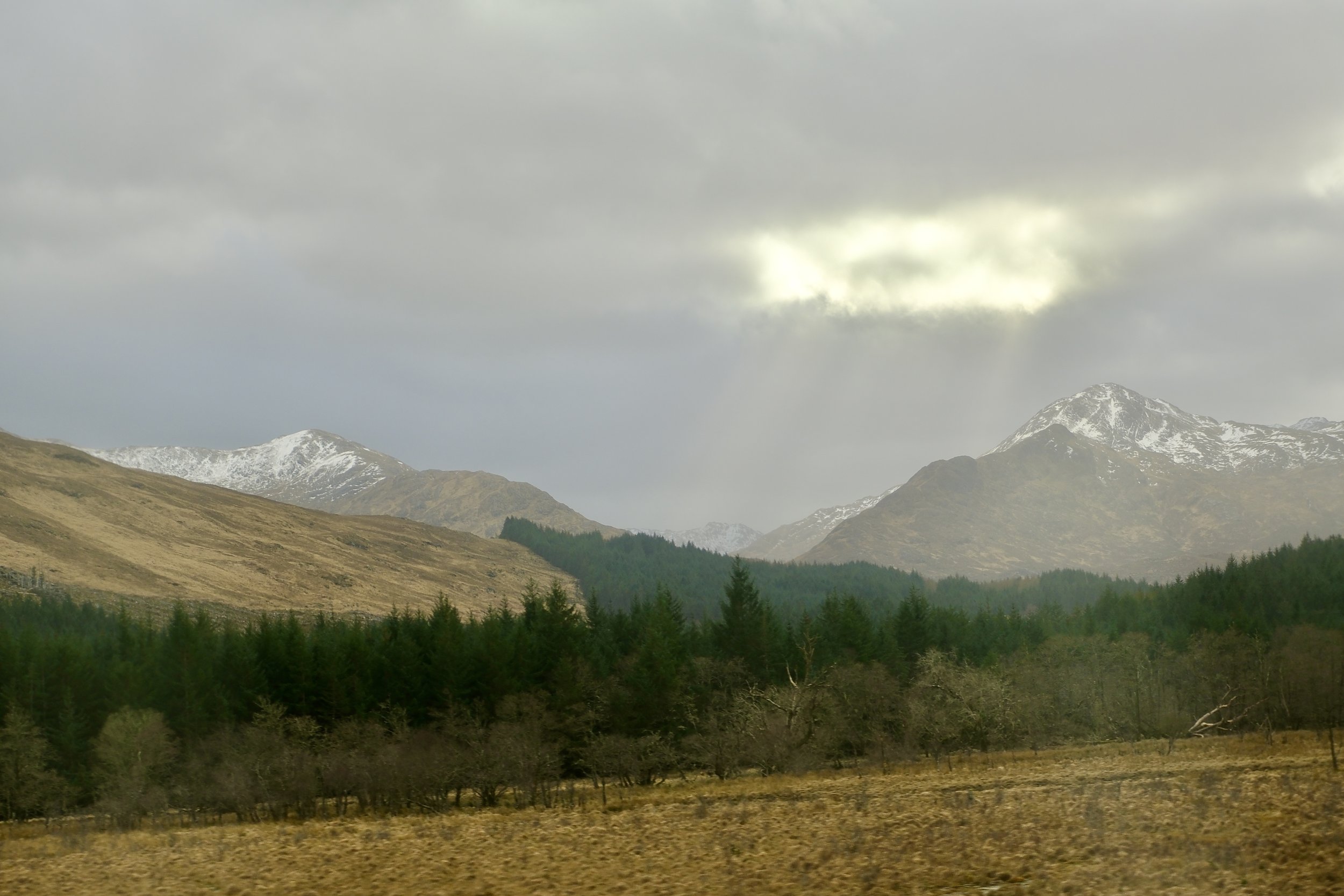 DSCF0658.jpg