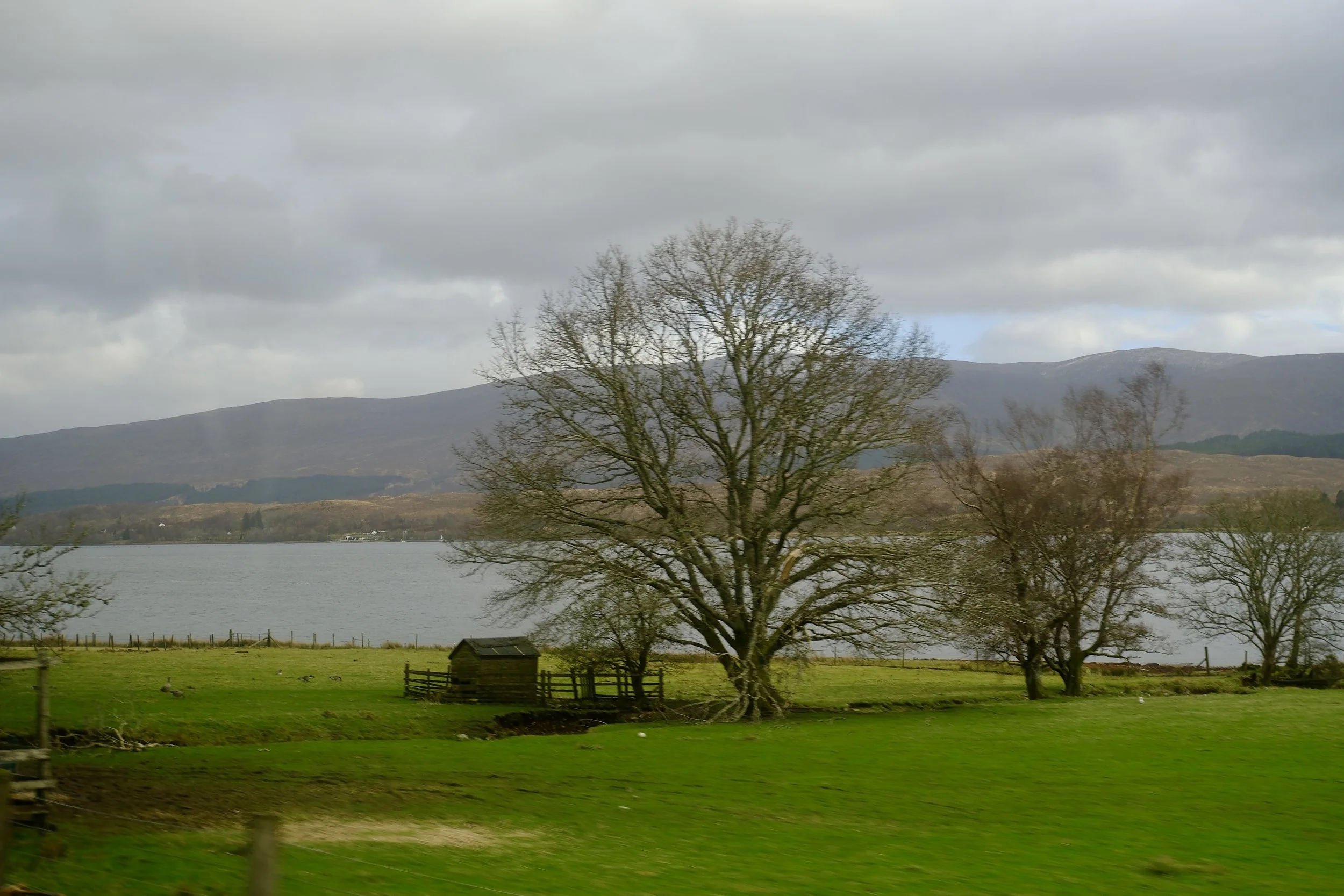 DSCF0660.jpg