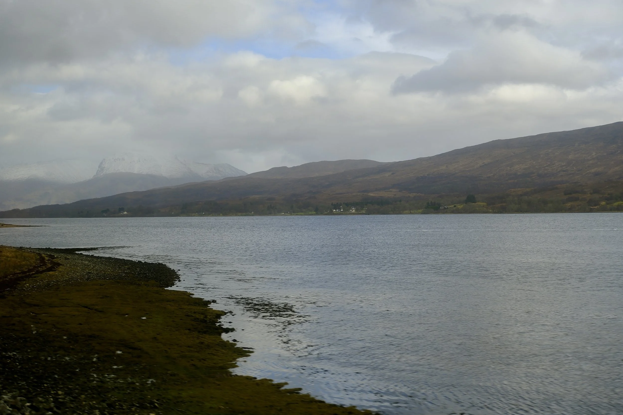 DSCF0662.jpg