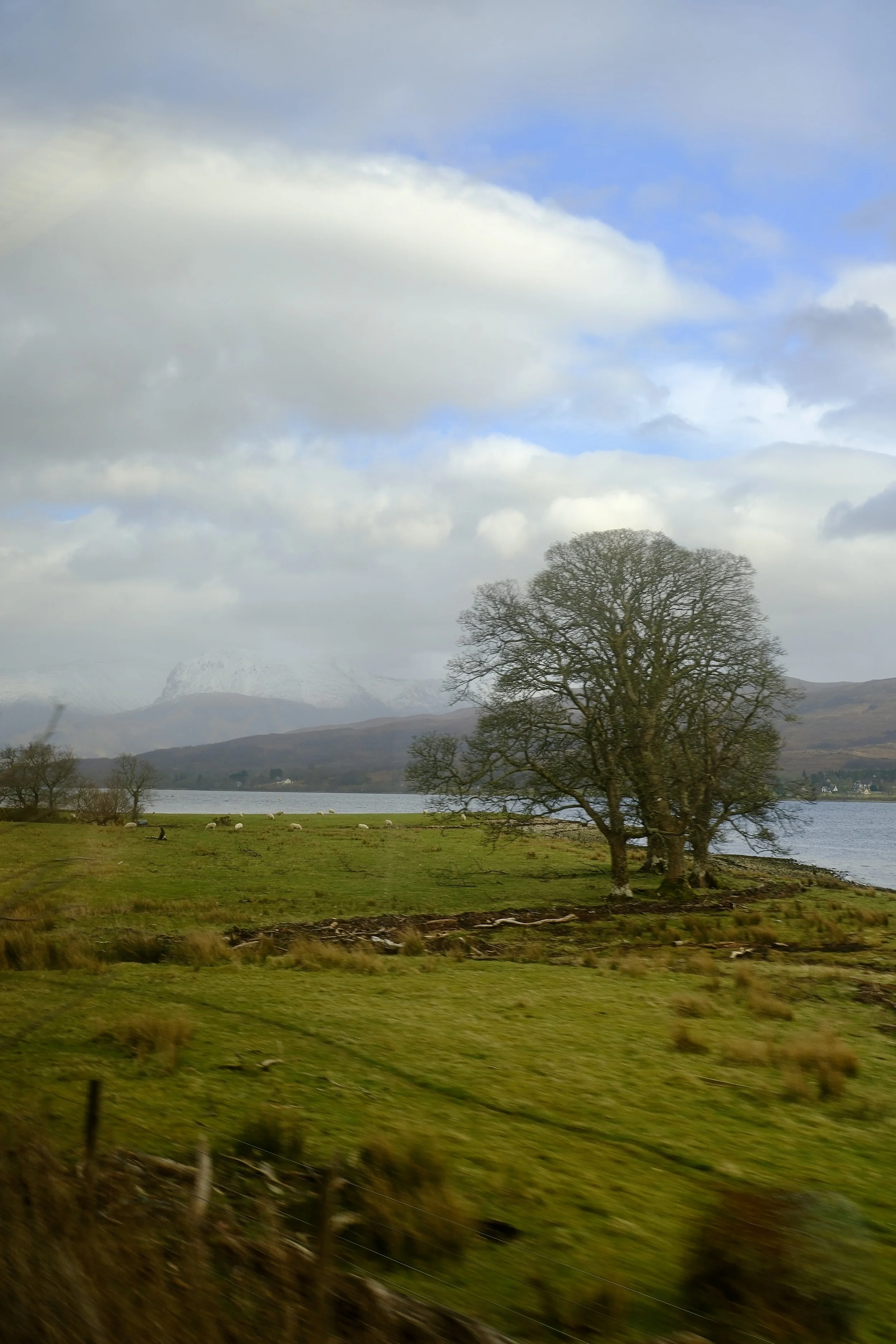 DSCF0663.jpg