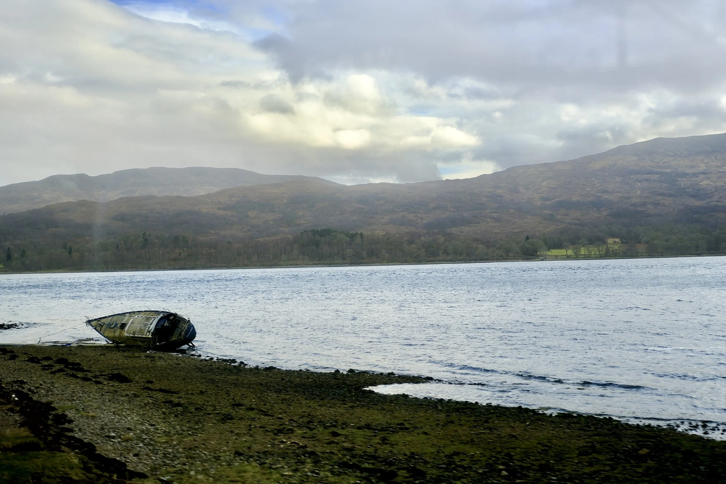 DSCF0671.jpg