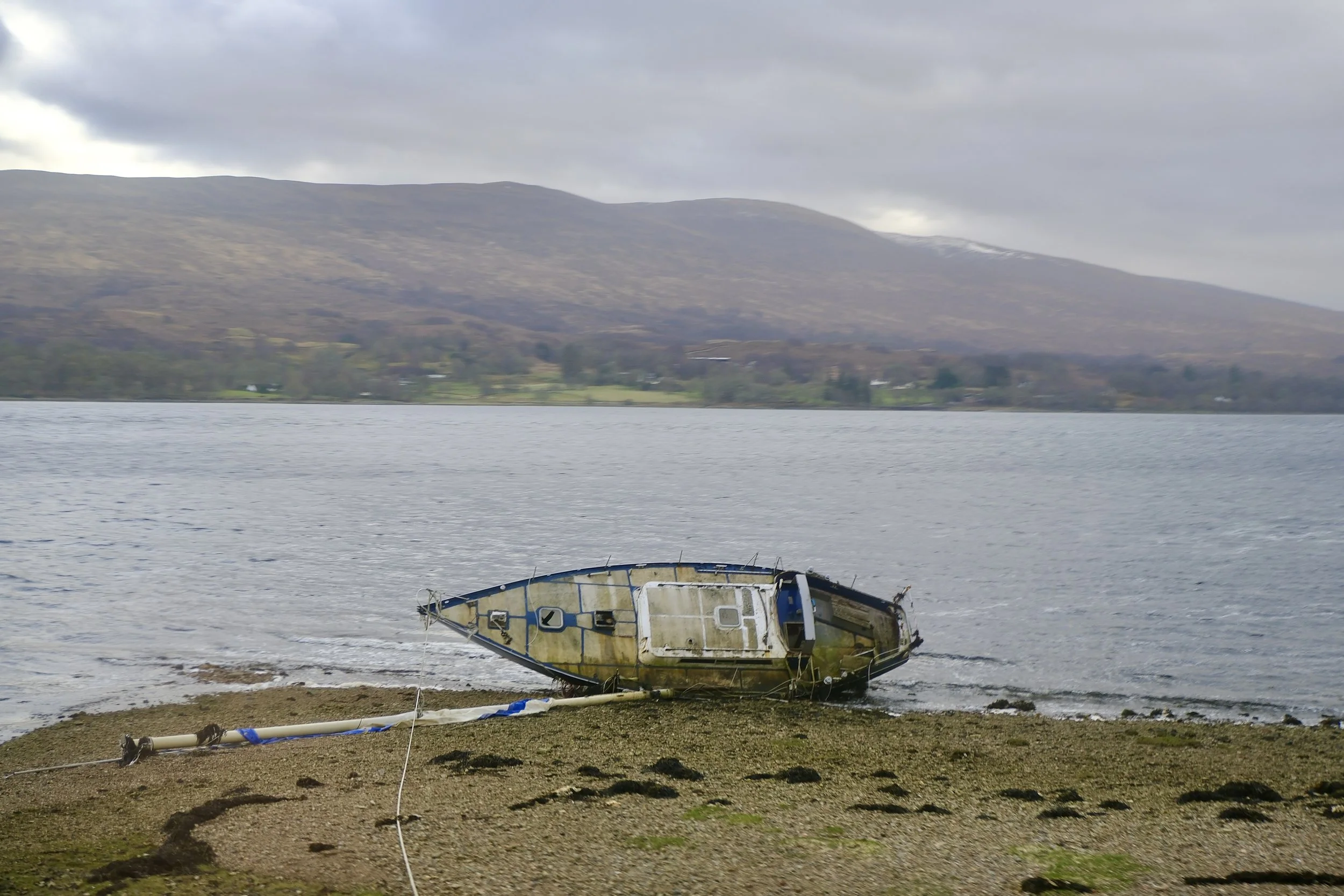 DSCF0672.jpg