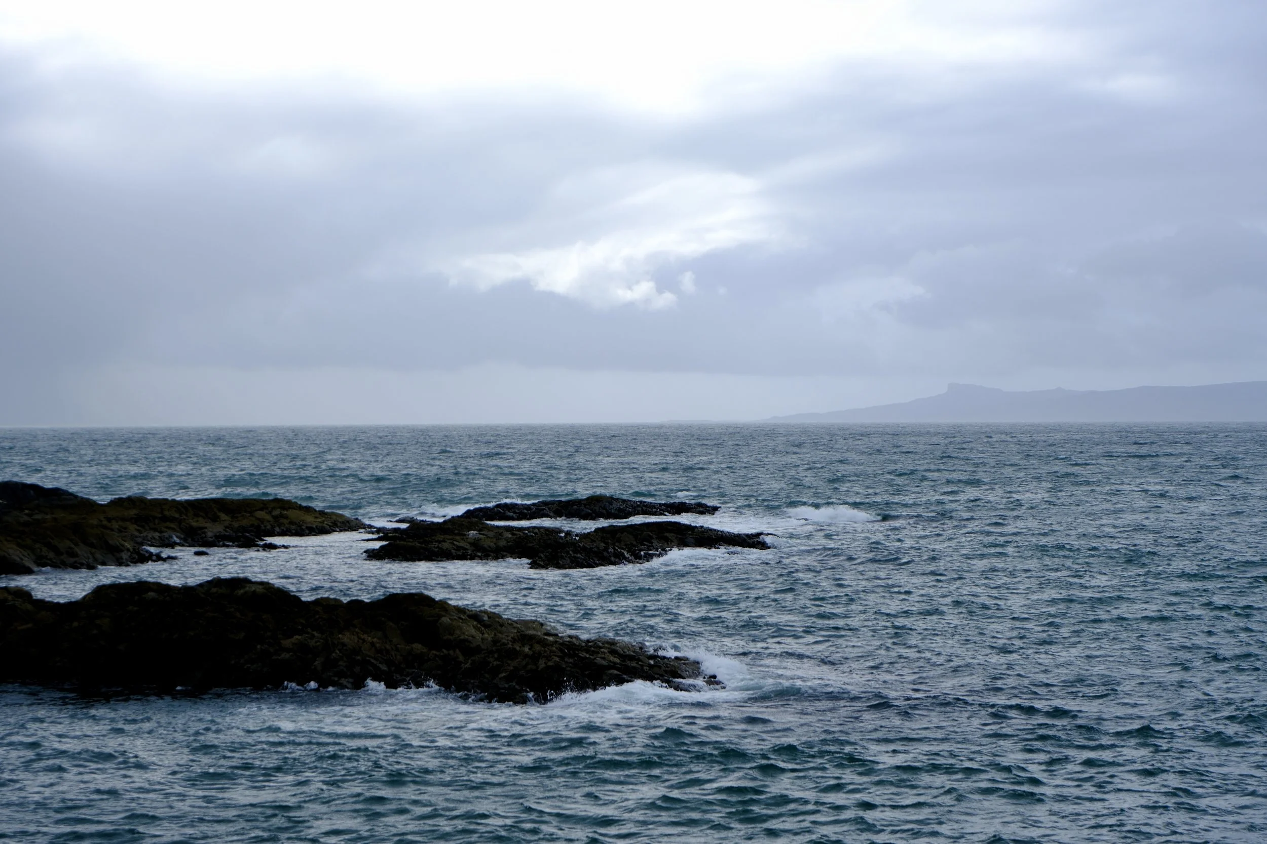 DSCF0606.jpg