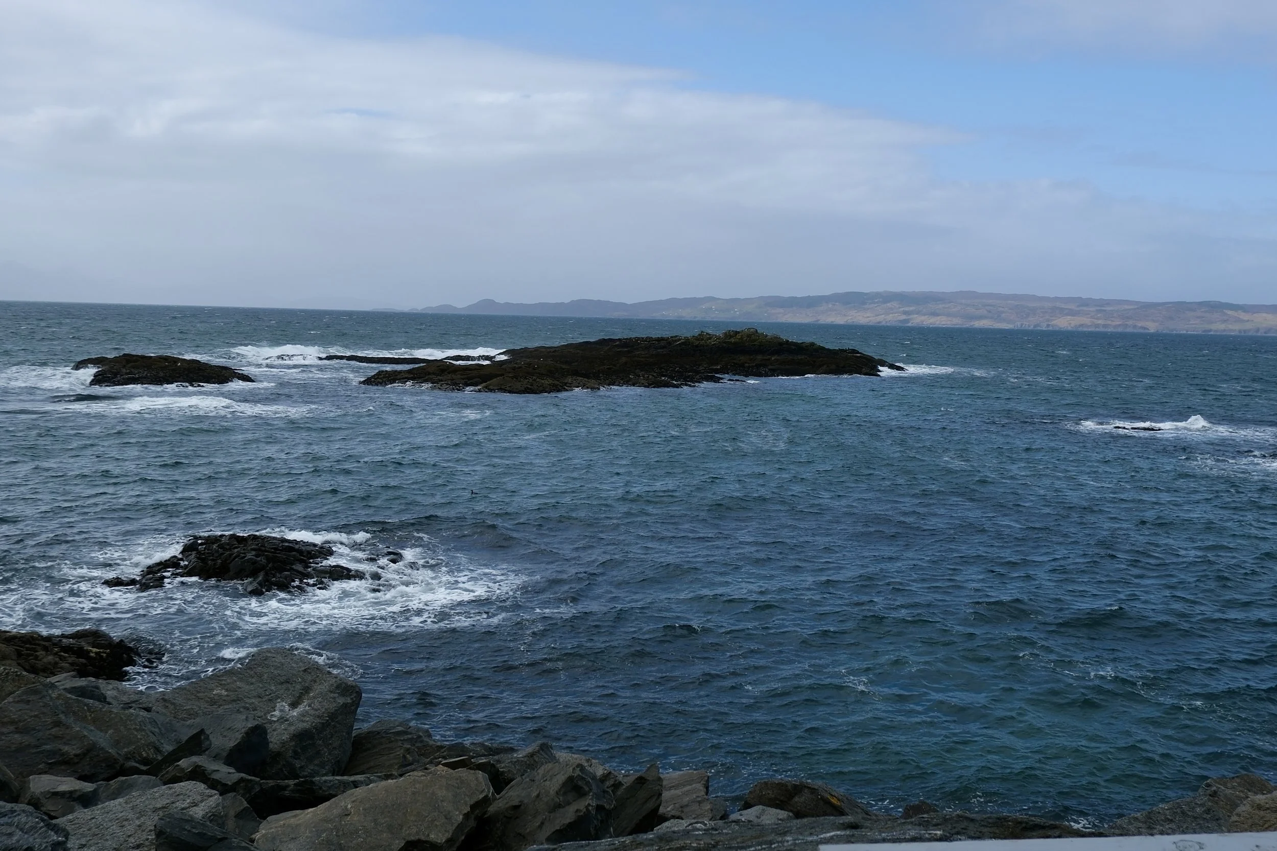 DSCF0615.jpg