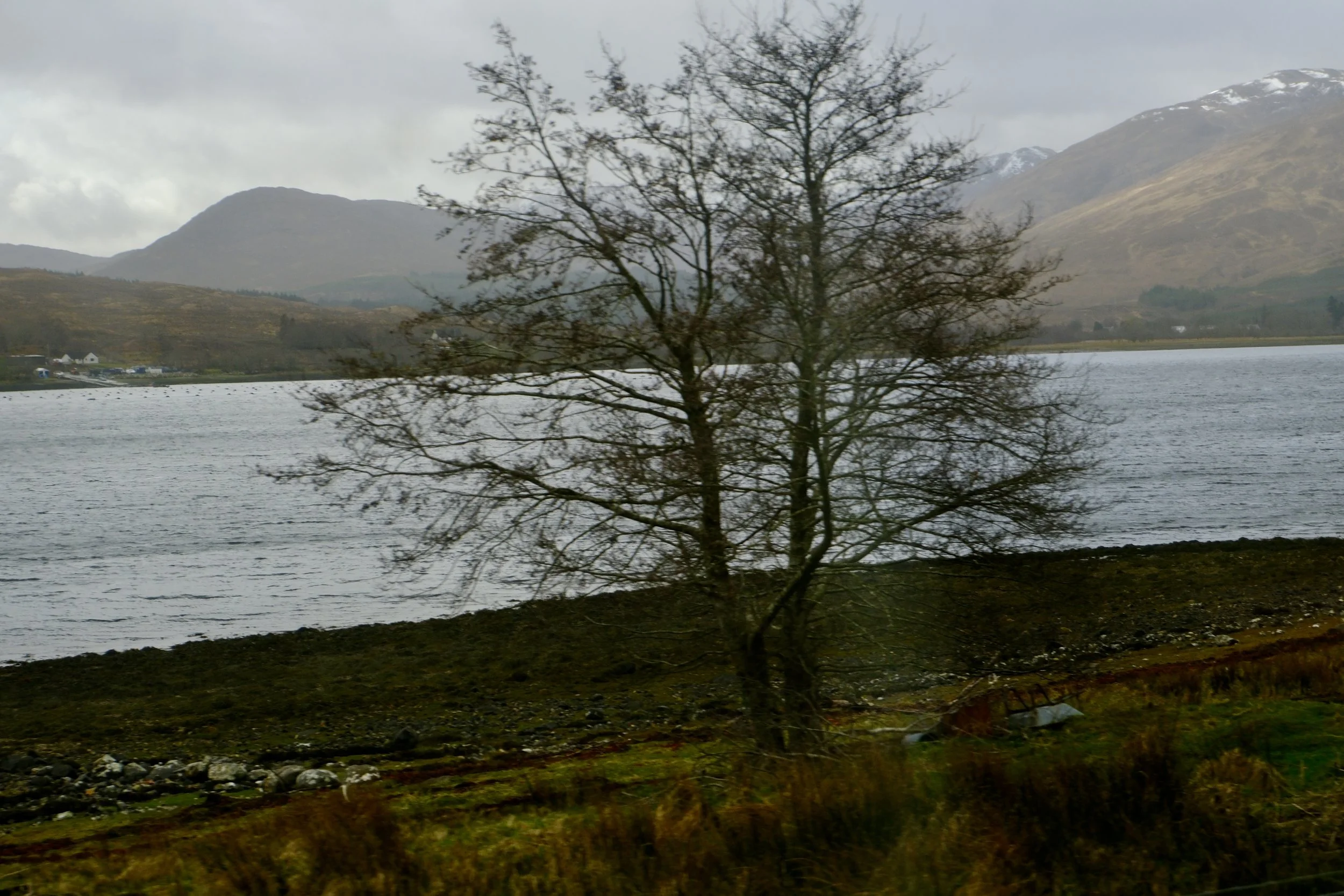 DSCF0524.jpg