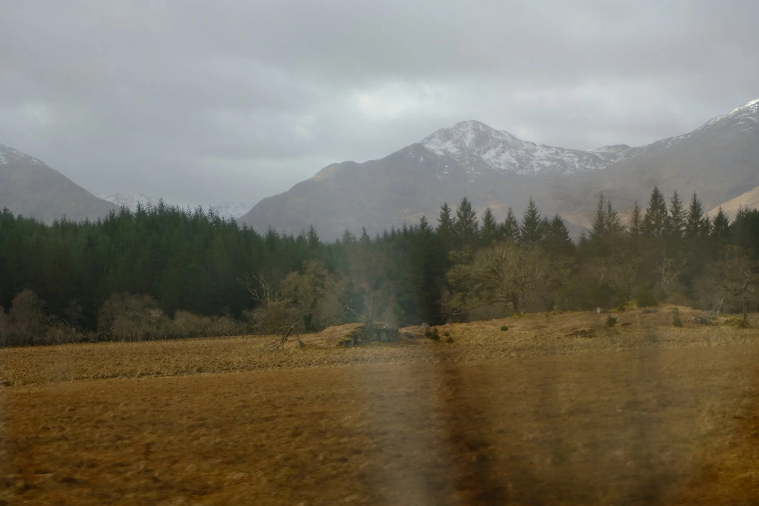 DSCF0527.JPG