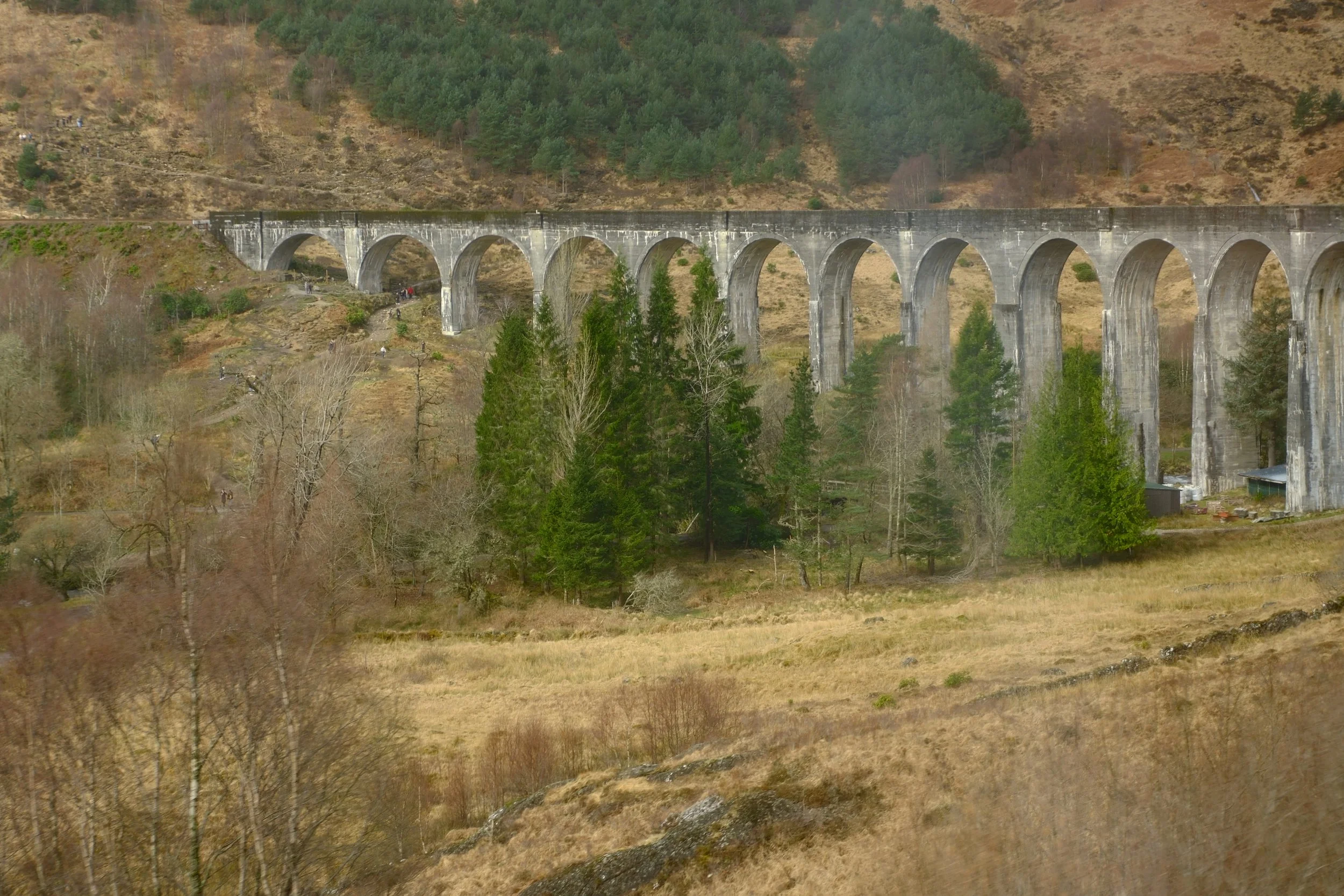 DSCF0532.JPG