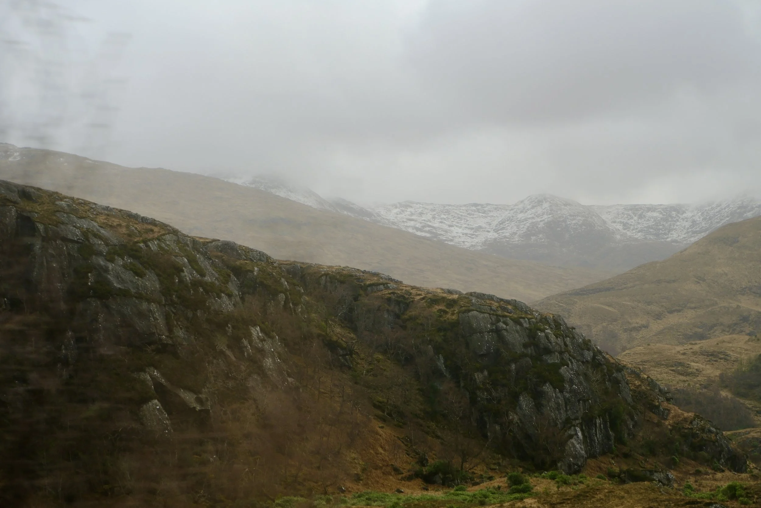 DSCF0567.jpg