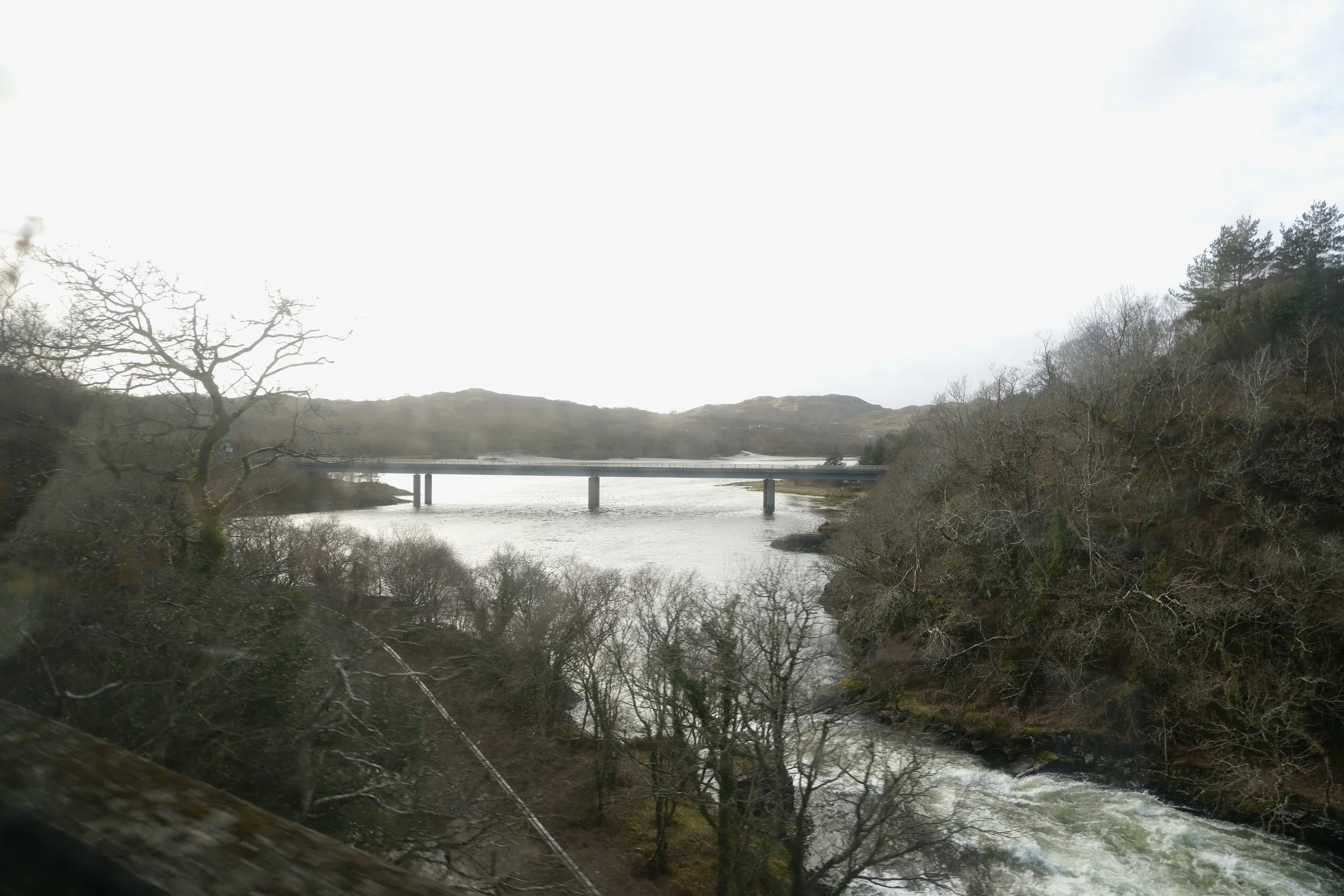 DSCF0628.jpg