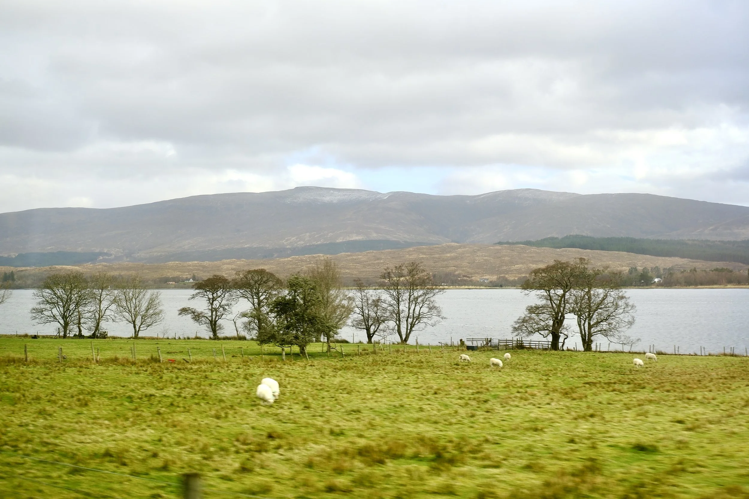 DSCF0659.jpg