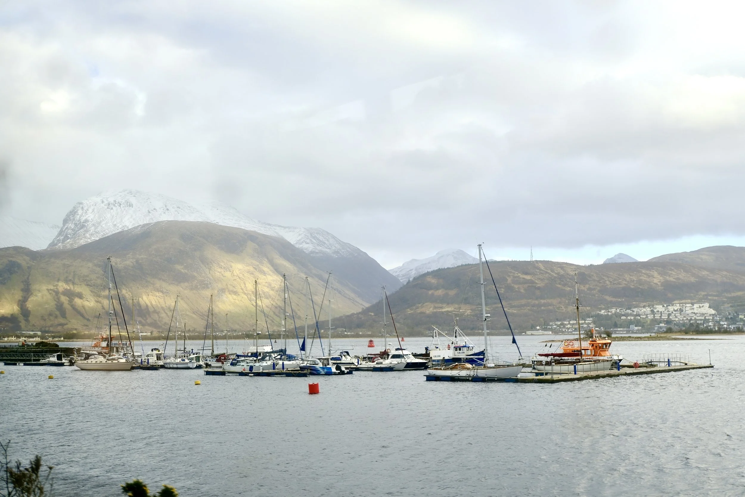 DSCF0676.jpg