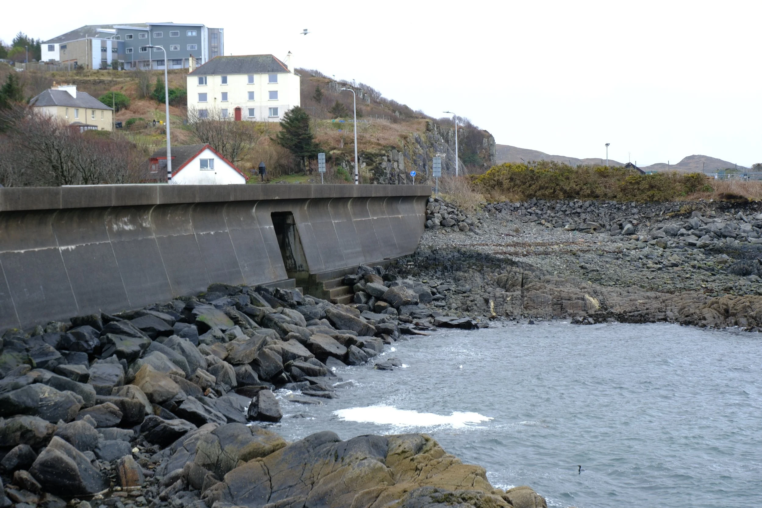 DSCF0607.JPG
