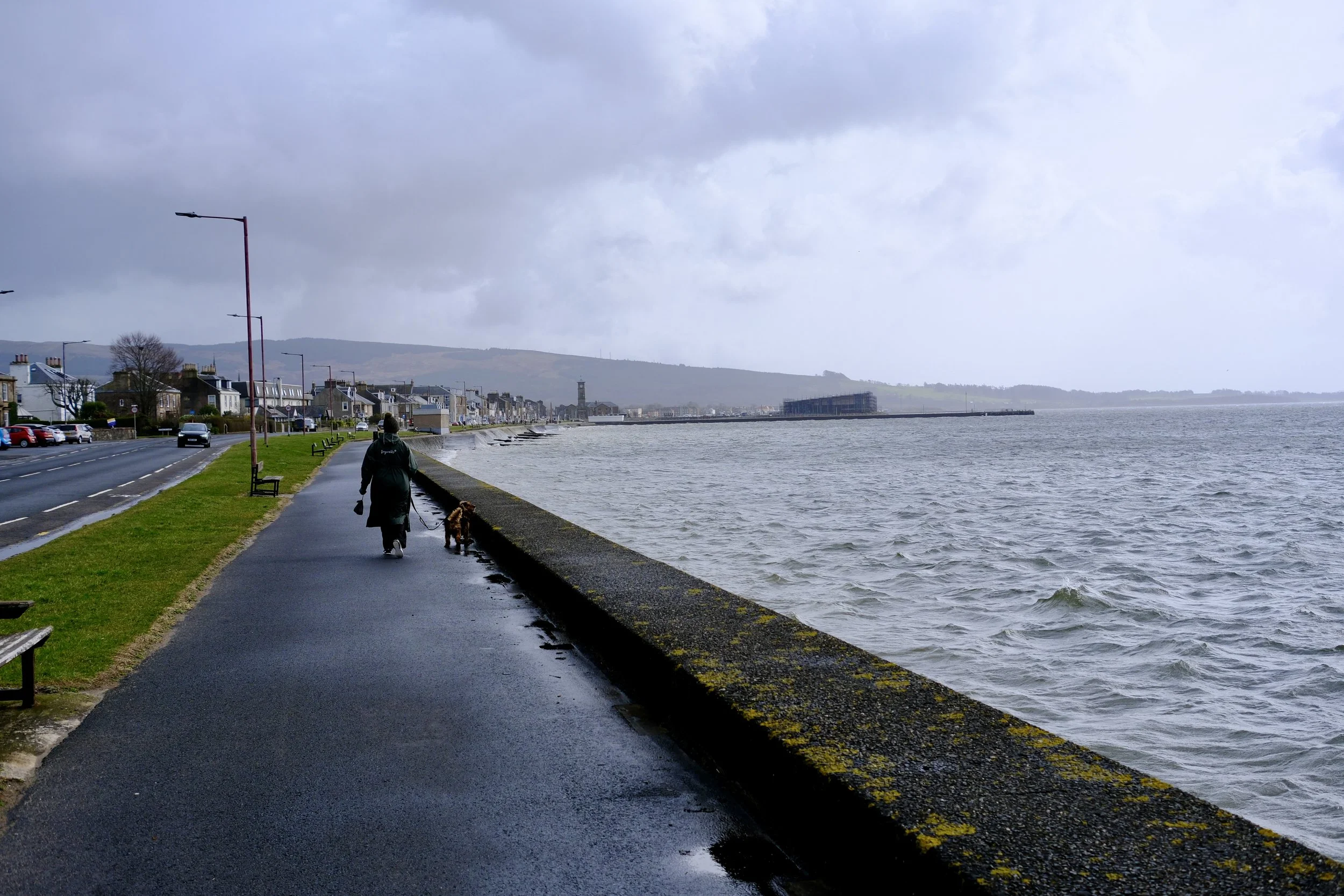 Braving the coast with Jasper!  (Image:  Damien Wilkinson)