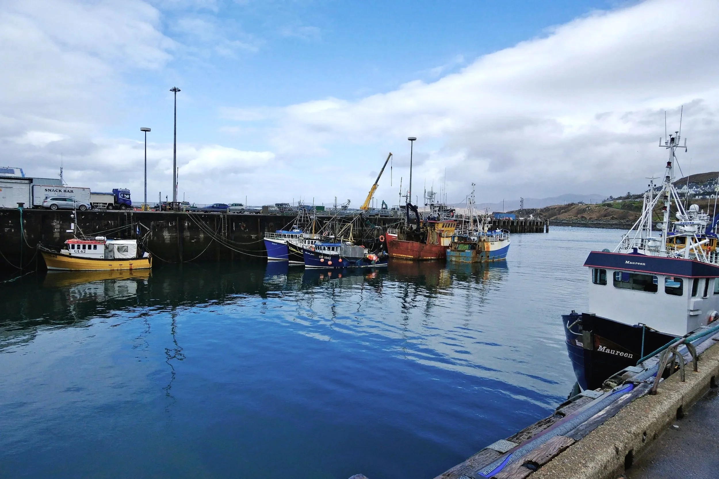DSCF0593.jpg