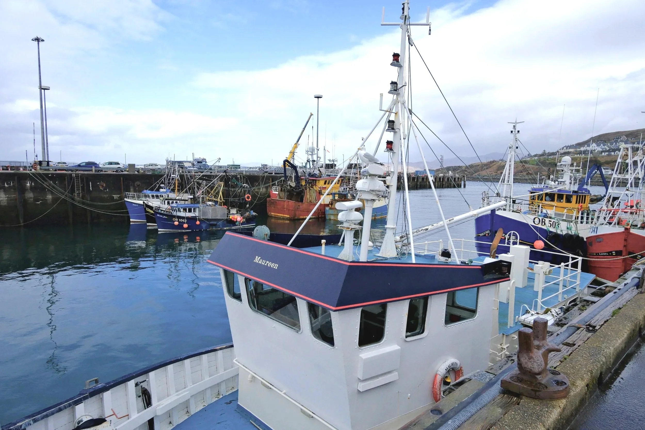 DSCF0594.jpg