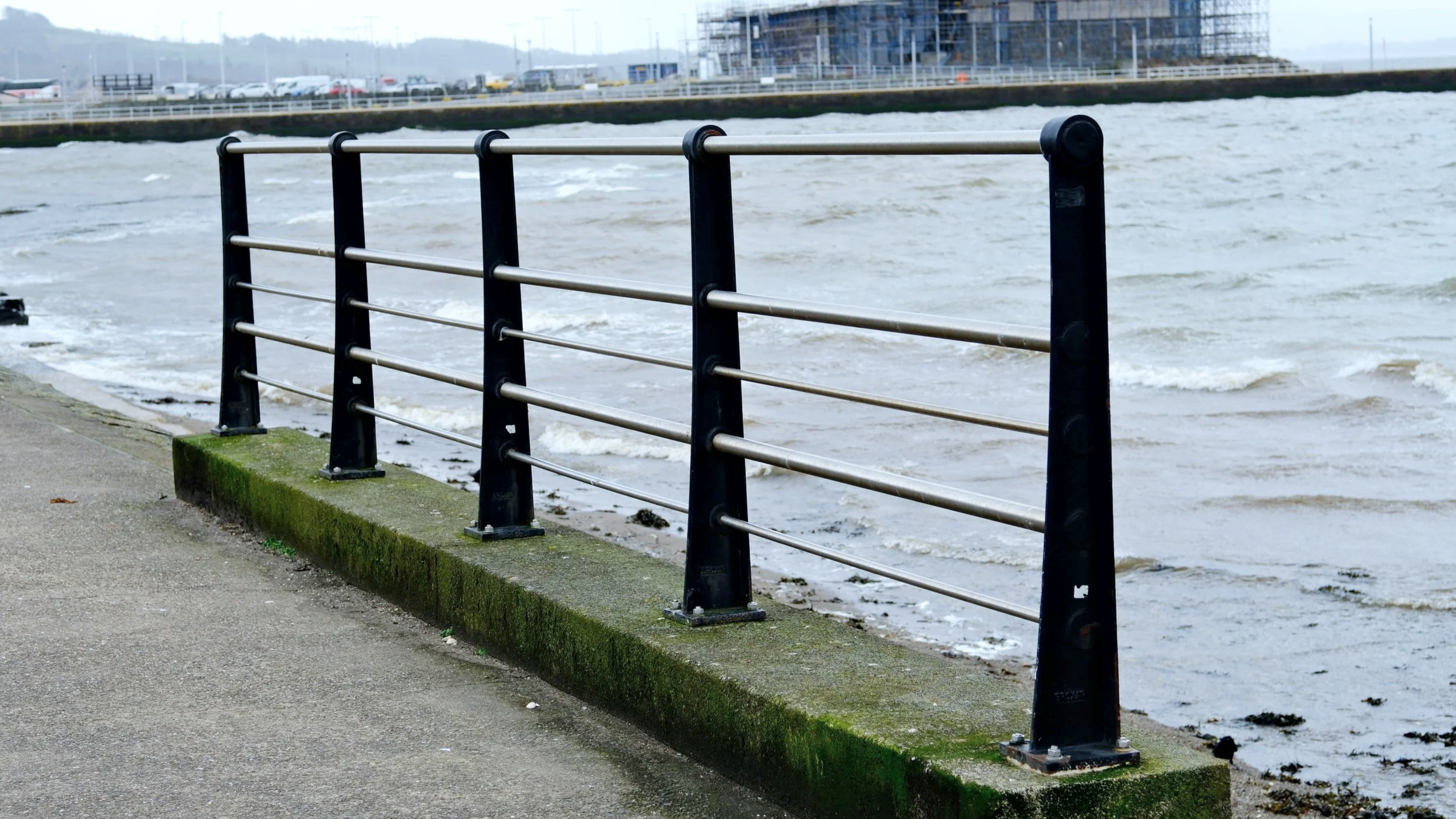 On the coastline, Helensburgh (Image:  Damien Wilkinson)