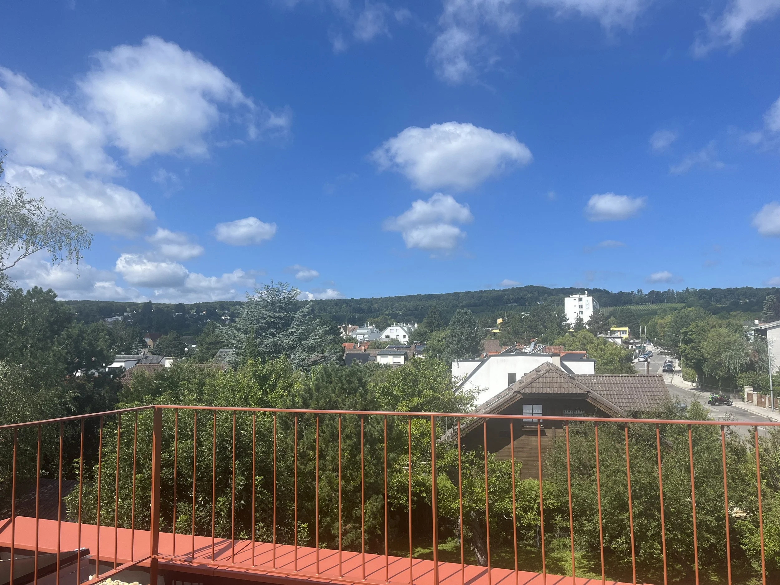 Blick auf Weinberge und Wald mit Häusern und Bäumen, unter einem blauen Himmel mit Wolken, aufgenommen von einem Balkon mit rotem Metallgeländer (Rundstab).
