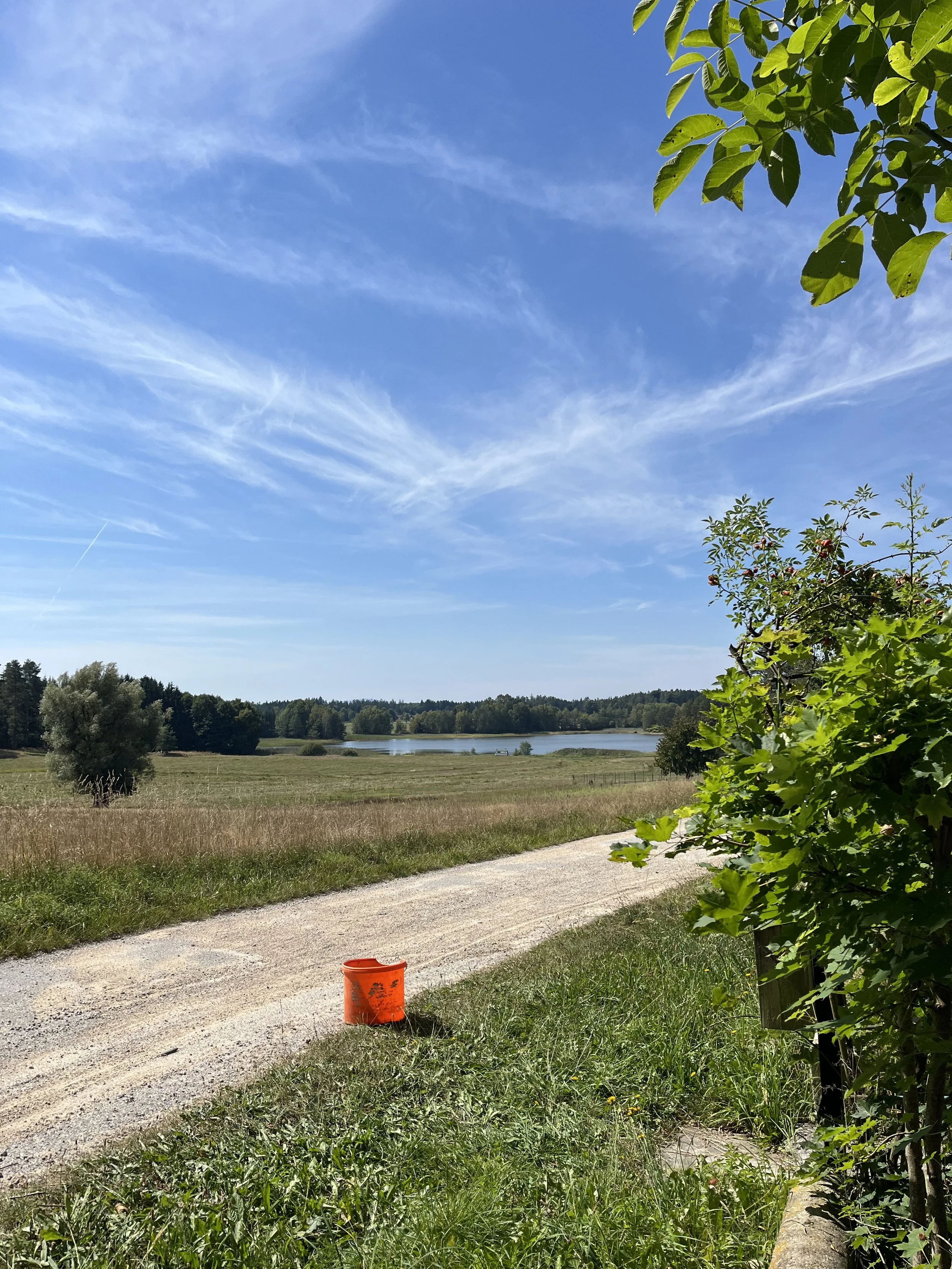 Landschaft mit Wiese, Bäumen, einem Wassersee im Hintergrund, blauer Himmel mit Wolken, und einem roten Eimer auf einem Weg.