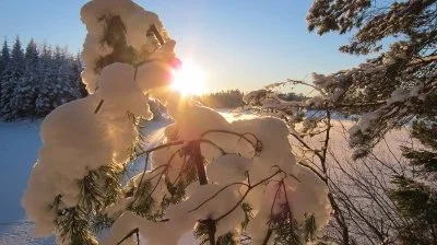 Stillheten det gror i – Taus retreat på Tomasgården (2 ledige plasser) 