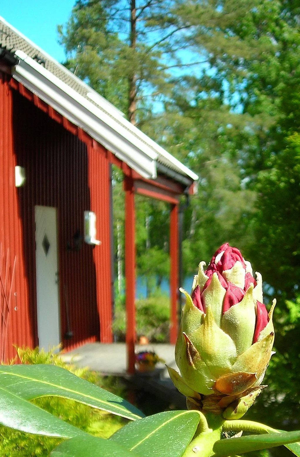 Stillheten det gror i (5 ledige plasser)