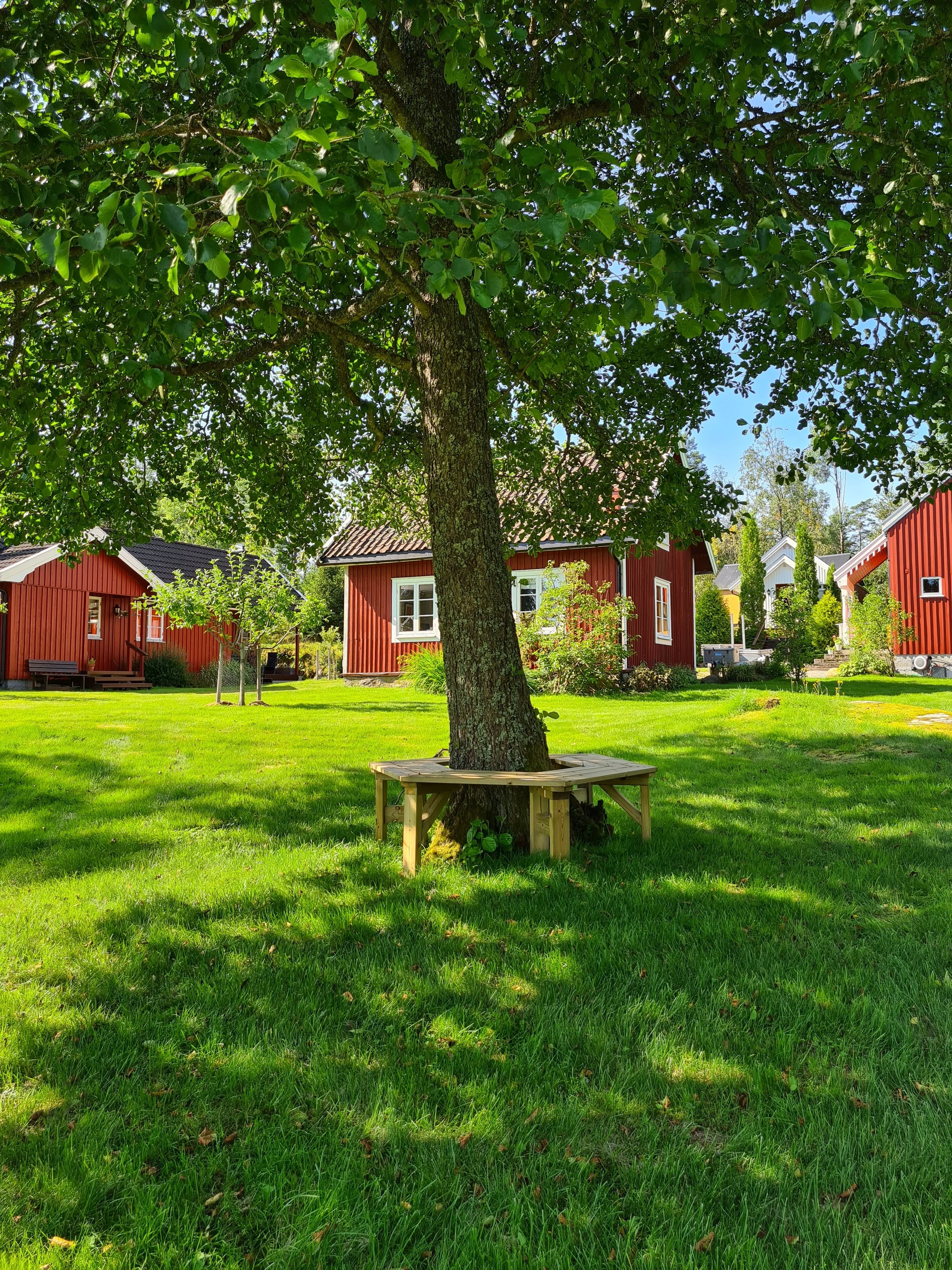 tomasgården i juli.jpg