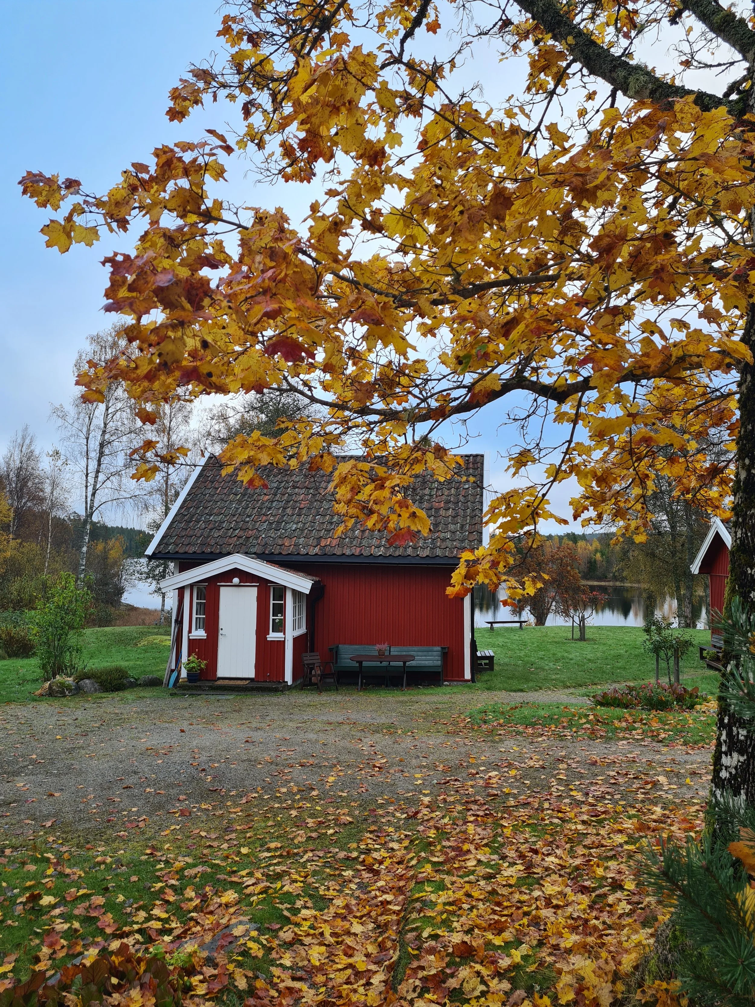 høststemning på Tomasgården.jpg