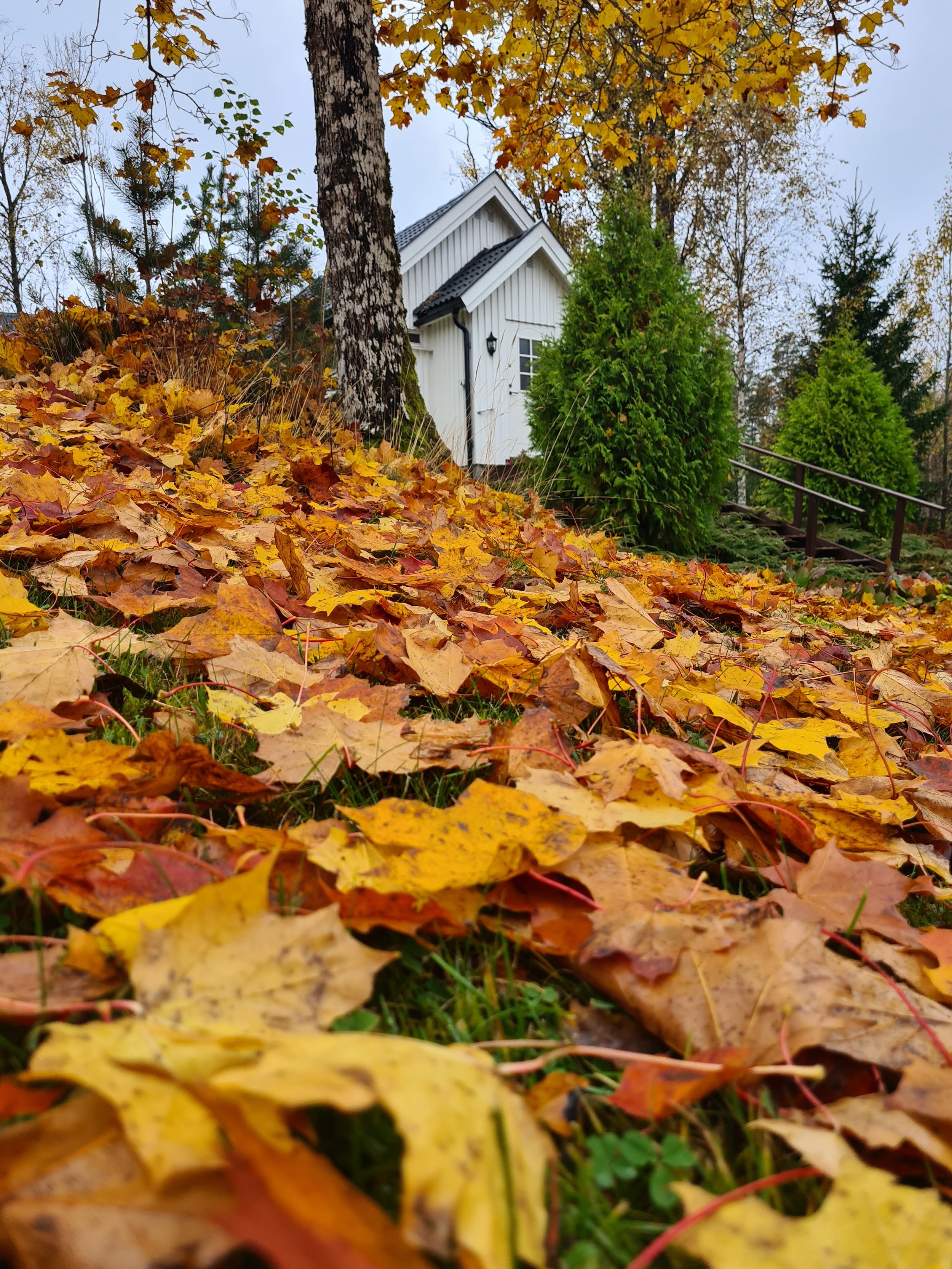 blikk på kapellet i høst.jpg