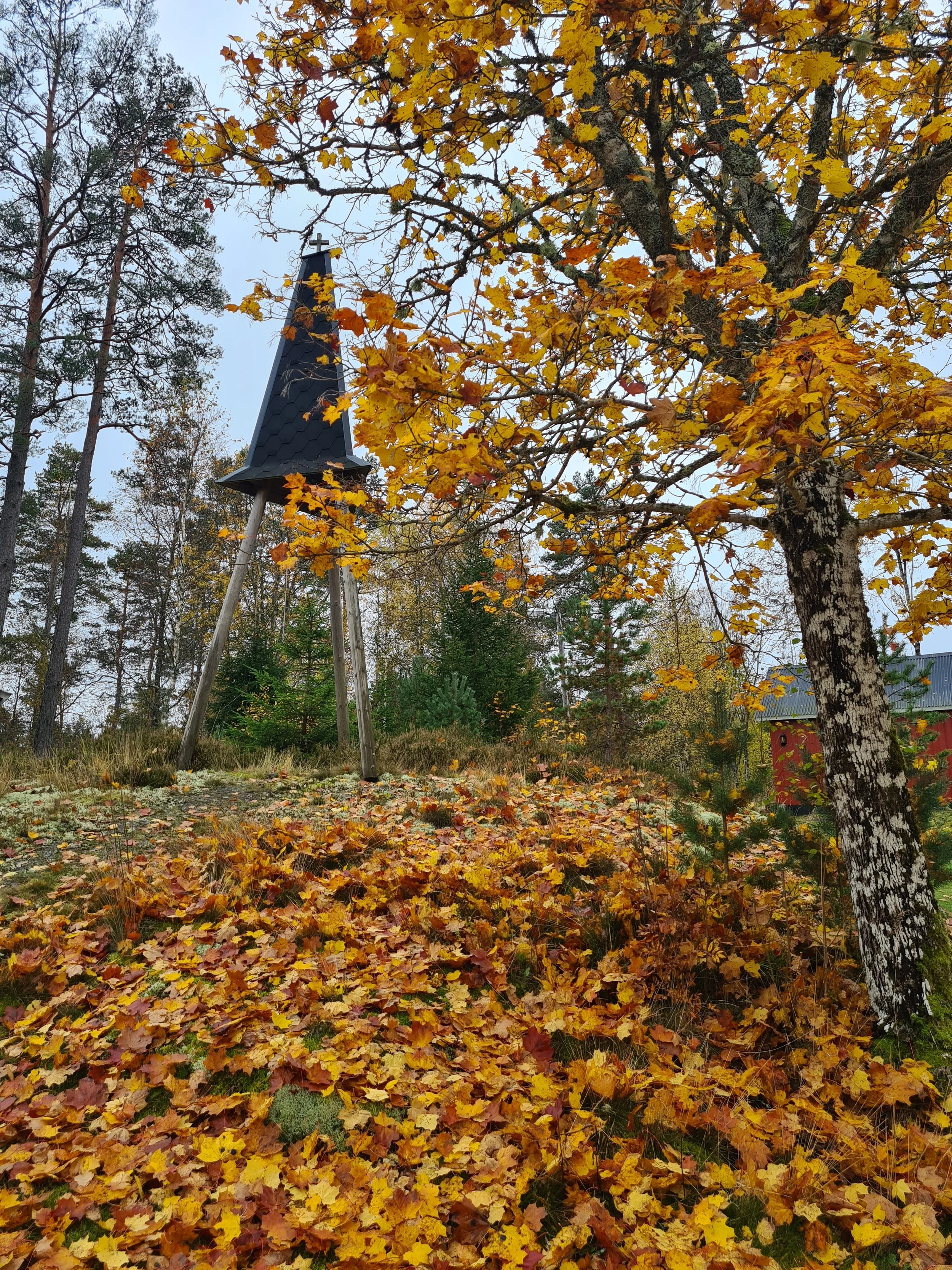 høststemning på Tomasgården.jpg