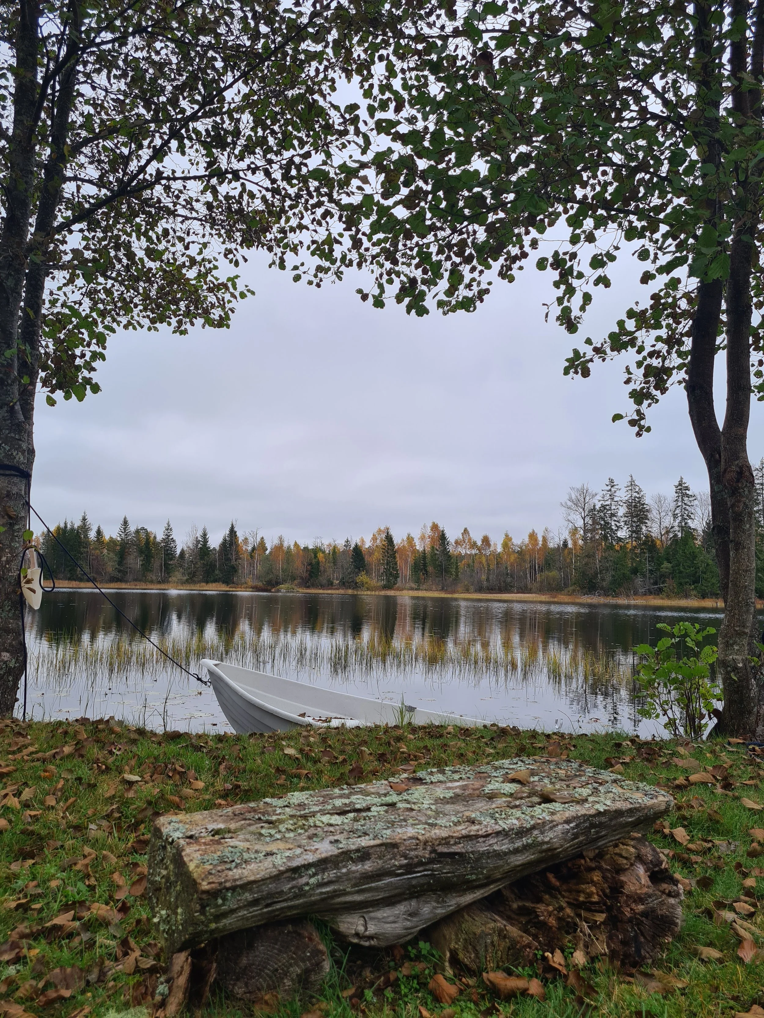 Kornsjø i oktober.jpg