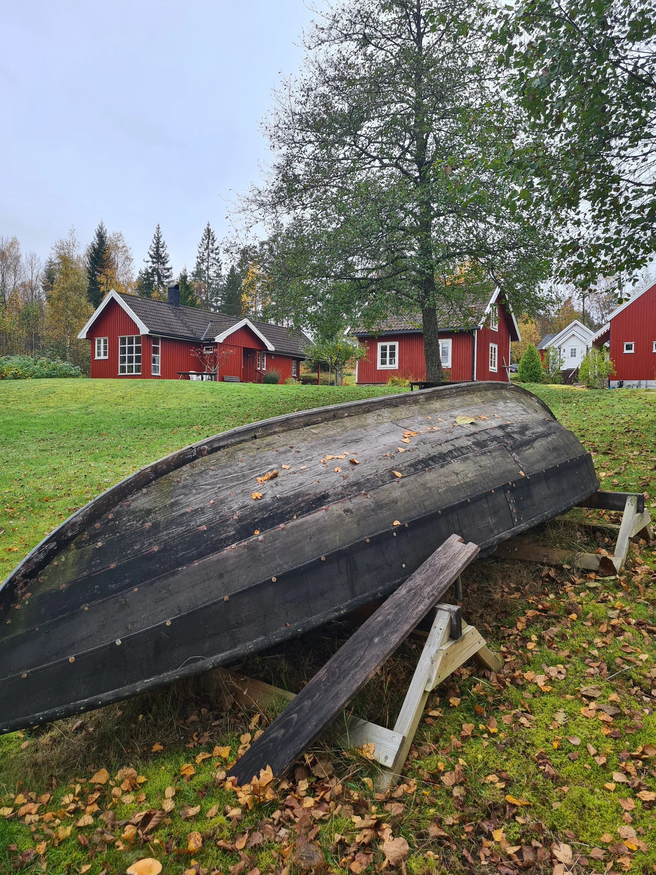 det gamle robåt.jpg