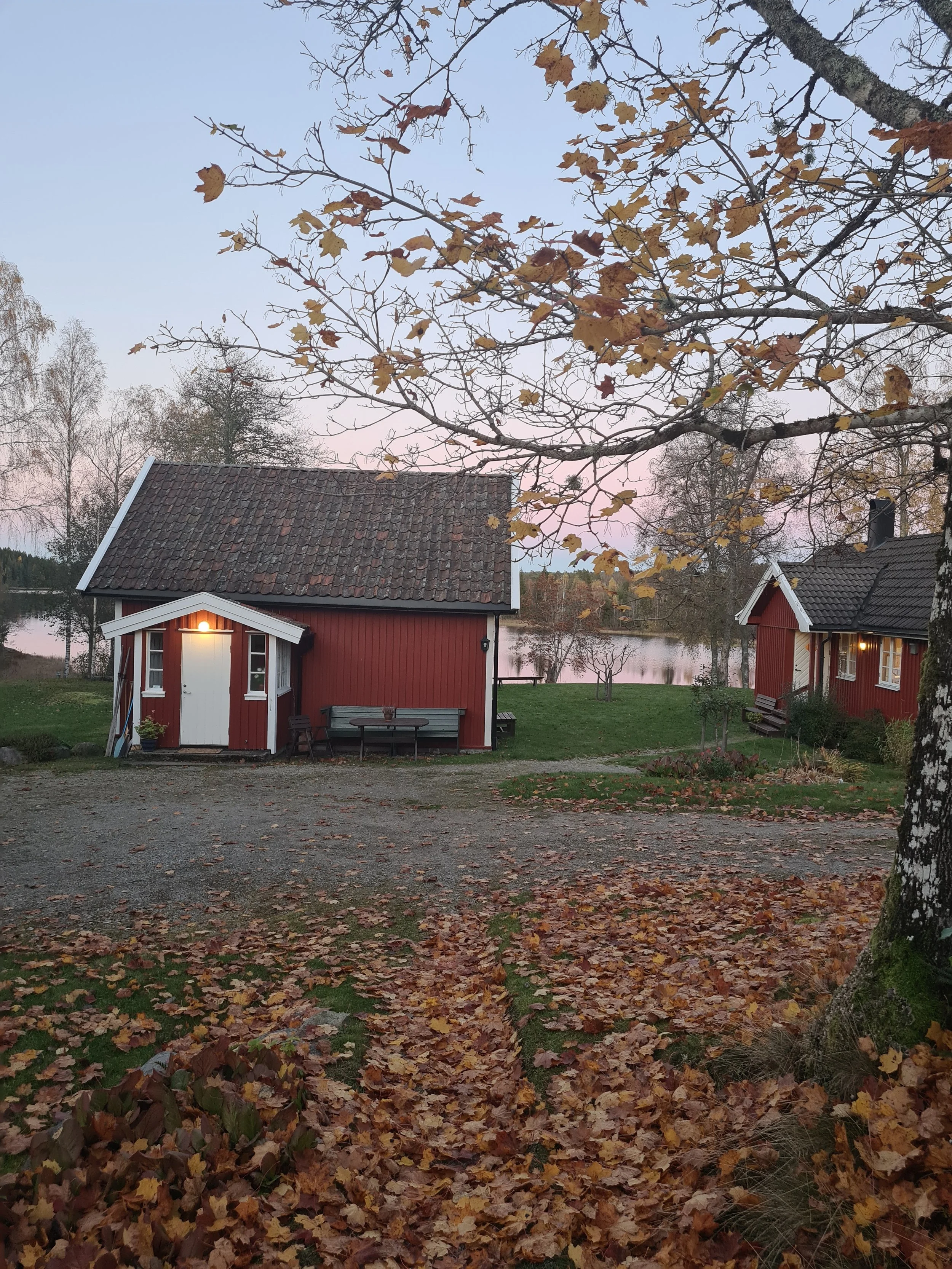 Høststeming på tune.jpg